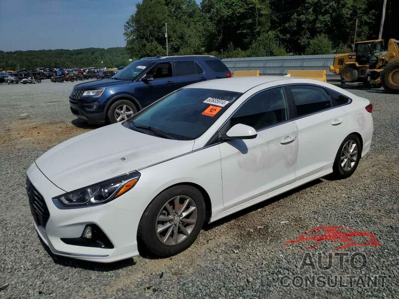 HYUNDAI SONATA 2019 - 5NPE24AF6KH790047