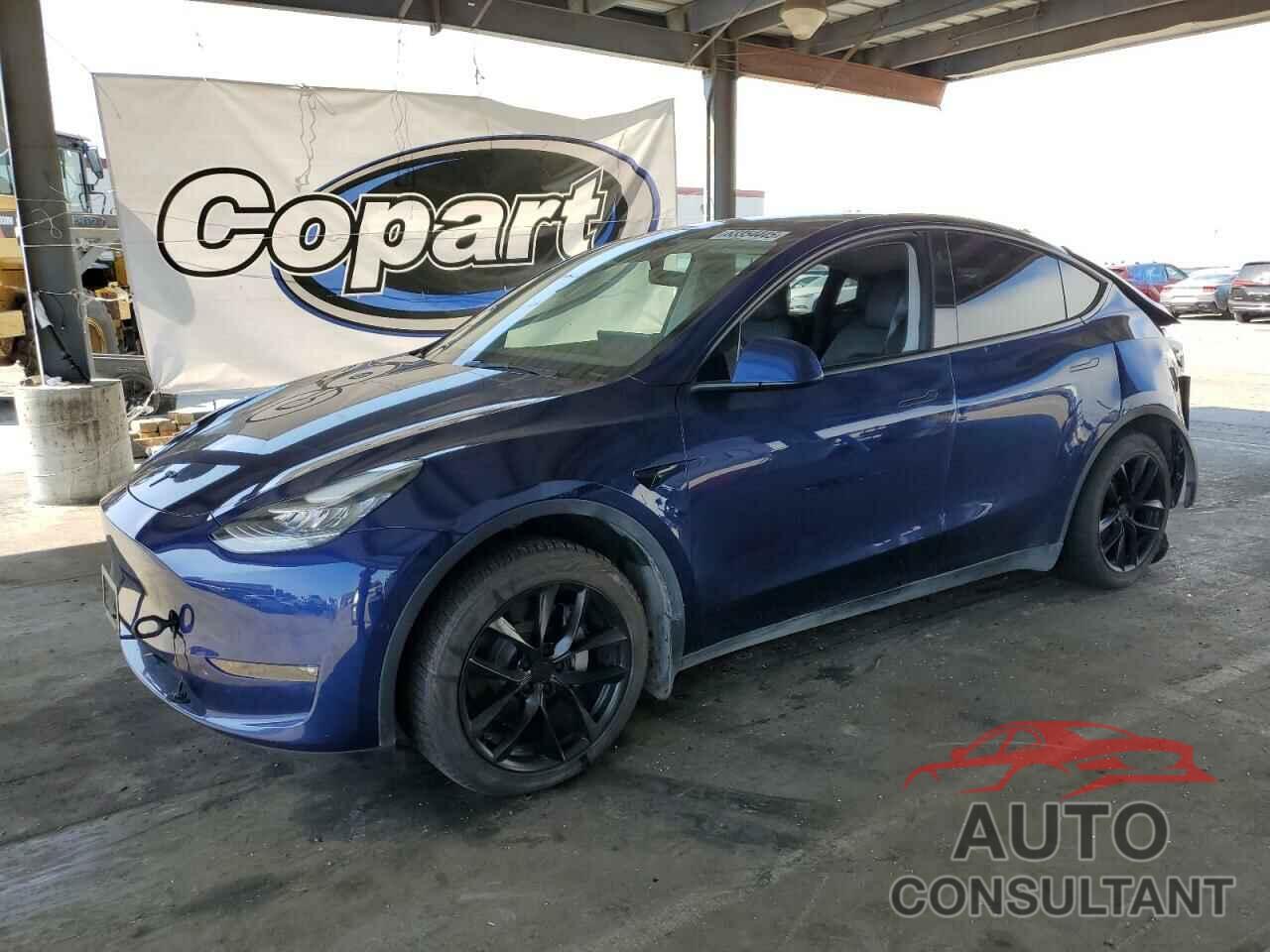 TESLA MODEL Y 2021 - 5YJYGDEE1MF217753