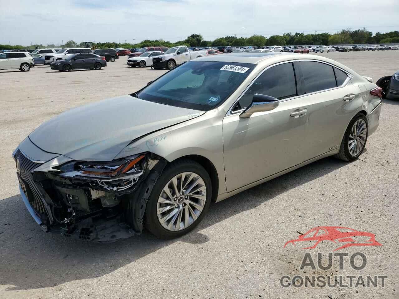 LEXUS ES300 2020 - 58AF21B18LU011958