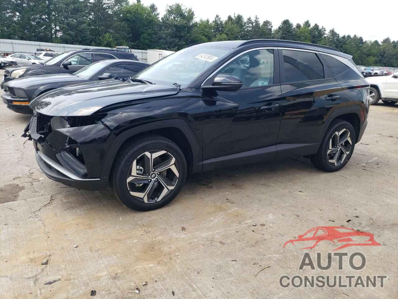 HYUNDAI TUCSON 2024 - 5NMJFCDEXRH354177