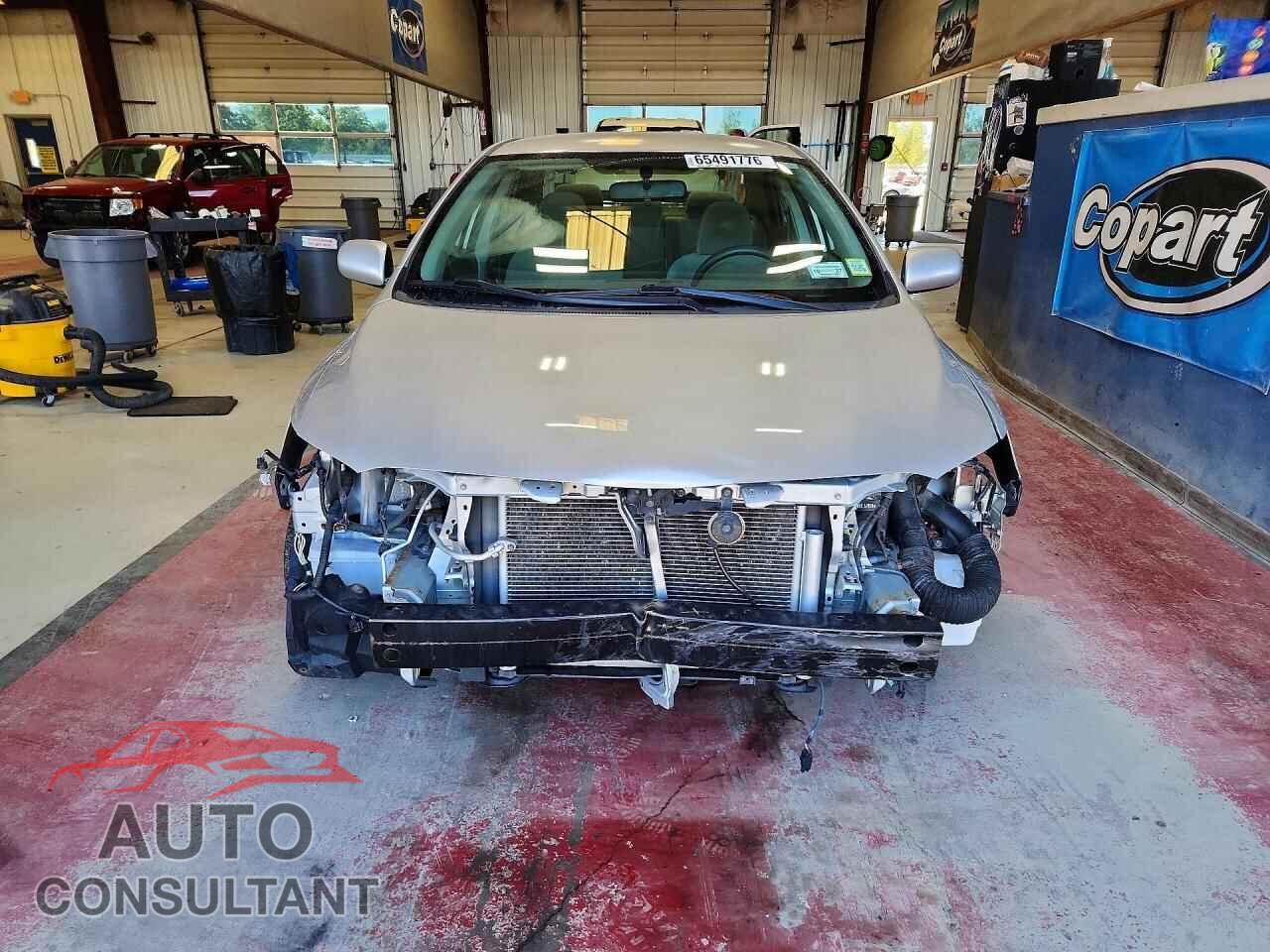 TOYOTA COROLLA 2009 - JTDBL40E599048864