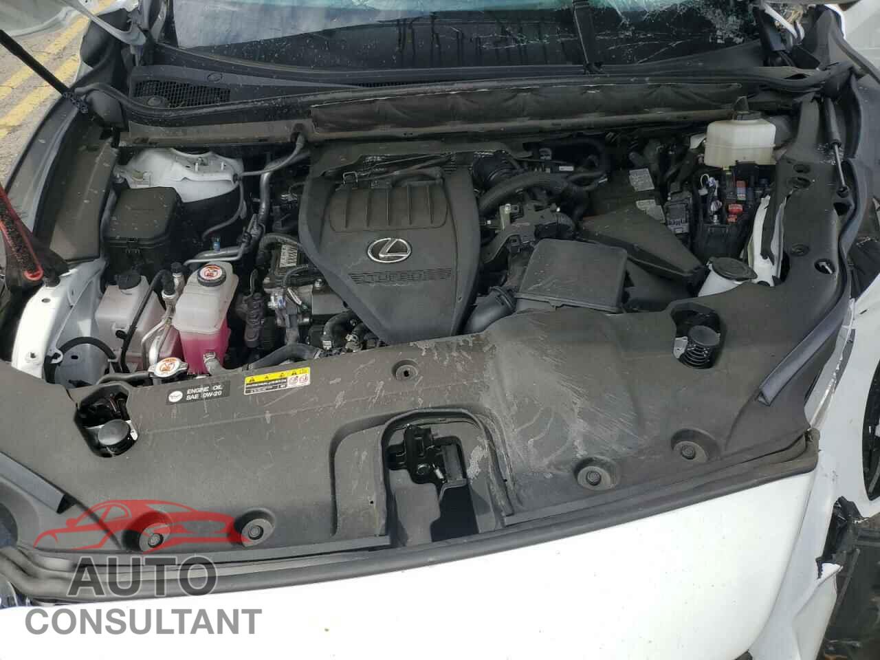 LEXUS RX350 2023 - 2T2BAMCA0PC004577