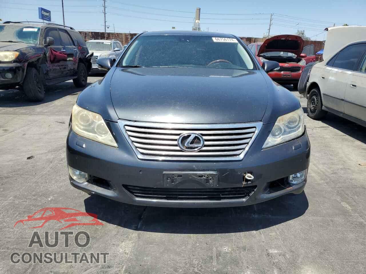 LEXUS LS460 2010 - JTHBL5EF2A5092421