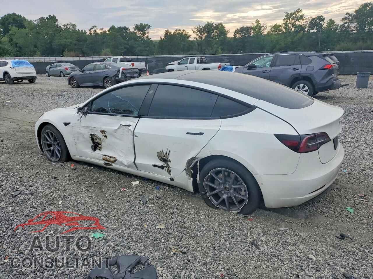 TESLA MODEL 3 2021 - 5YJ3E1EB9MF035559