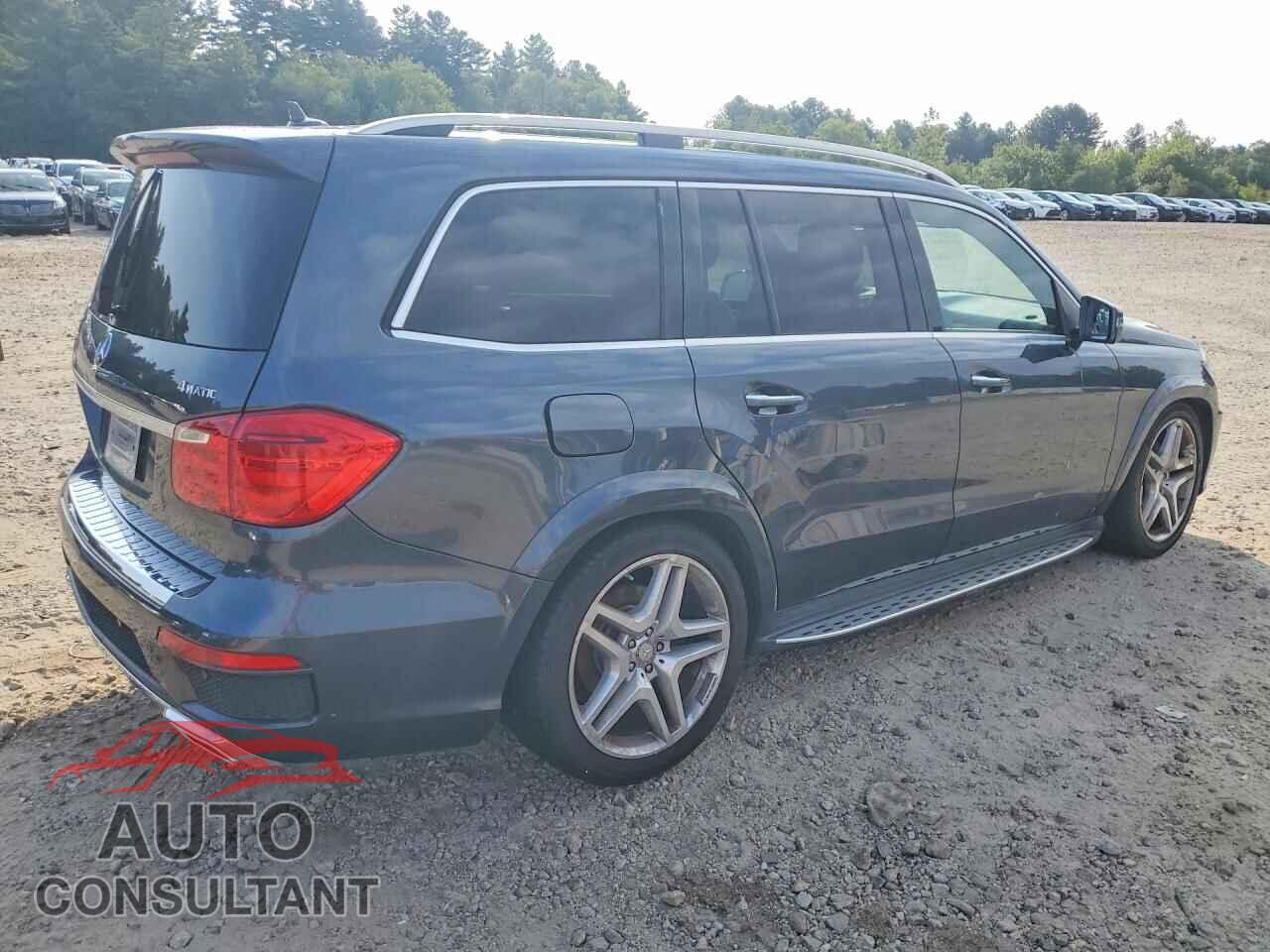 MERCEDES-BENZ GL-CLASS 2013 - 4JGDF7DE5DA156268