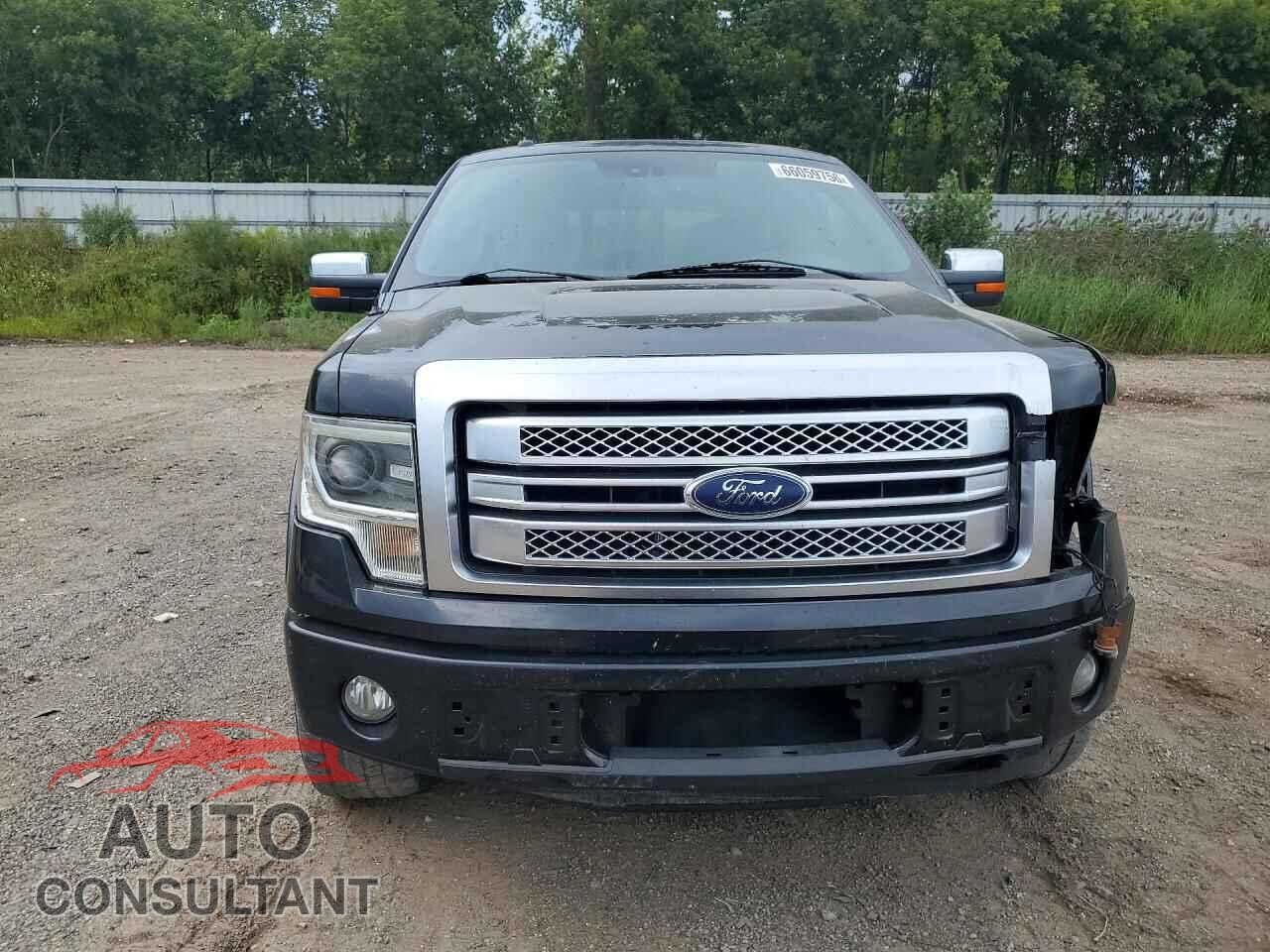 FORD F150 2013 - 1FTFW1EF1DFD25433