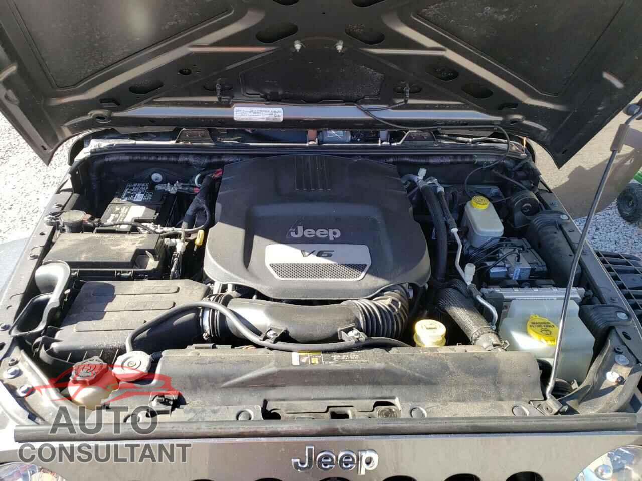 JEEP WRANGLER 2017 - 1C4BJWDG3HL603003
