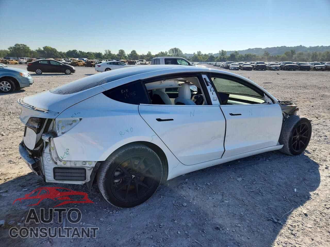 TESLA MODEL 3 2021 - 5YJ3E1EB3MF856057