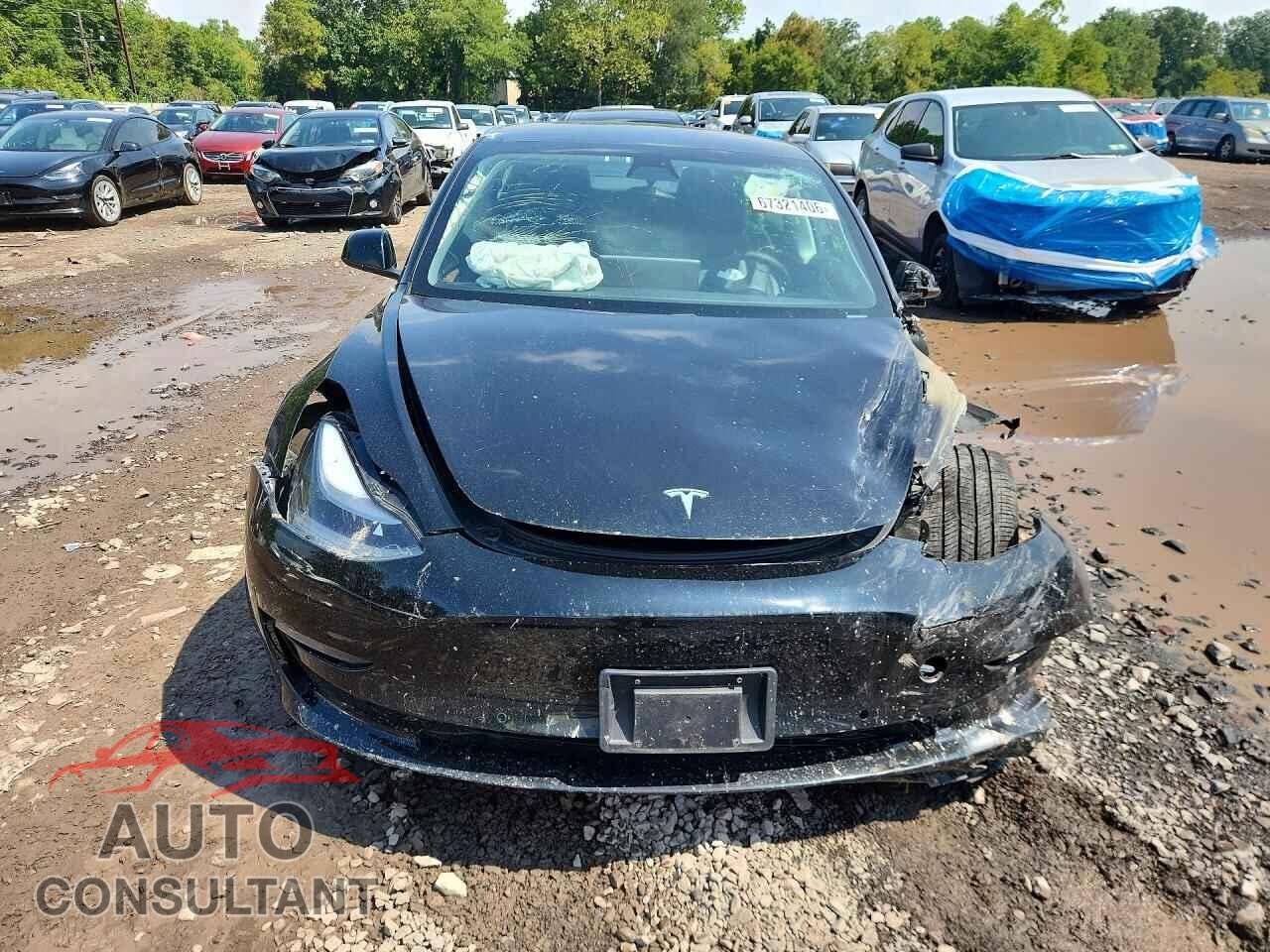 TESLA MODEL 3 2021 - 5YJ3E1EBXMF974834