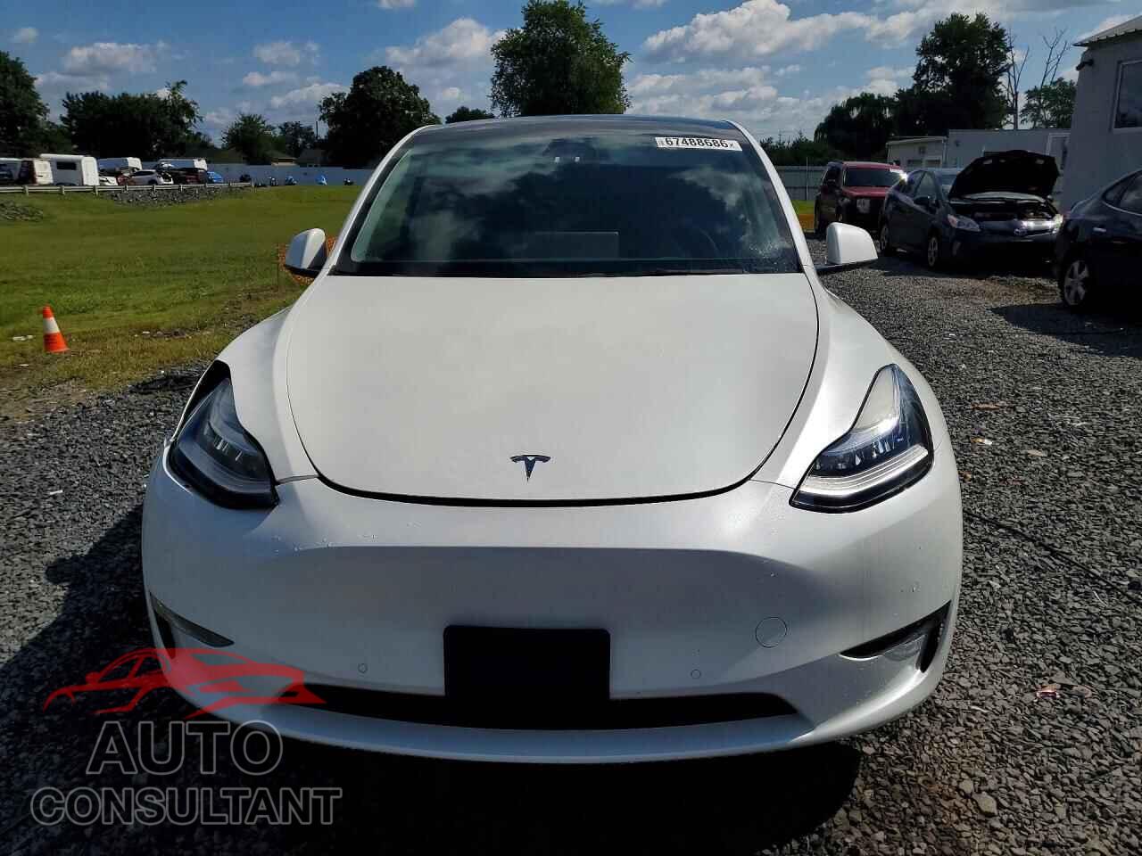 TESLA MODEL Y 2021 - 5YJYGDEEXMF249214