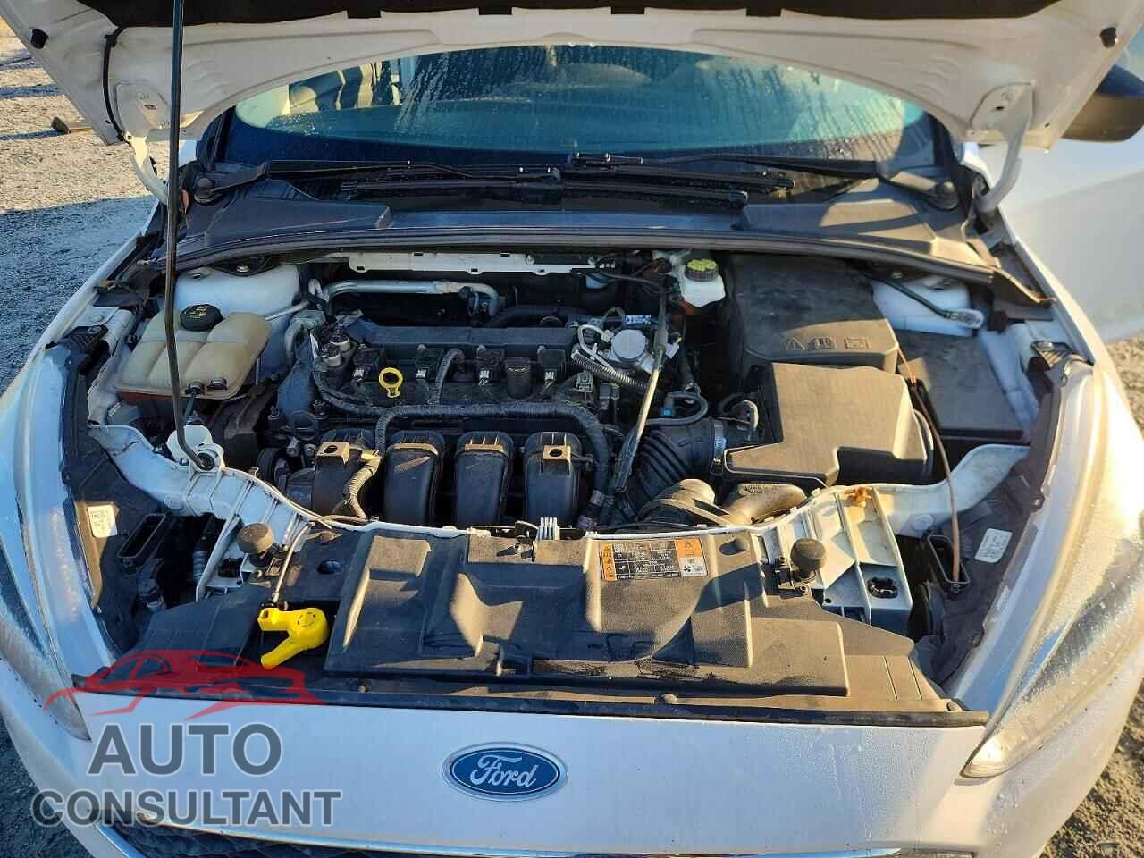FORD FOCUS 2018 - 1FADP3E20JL255875