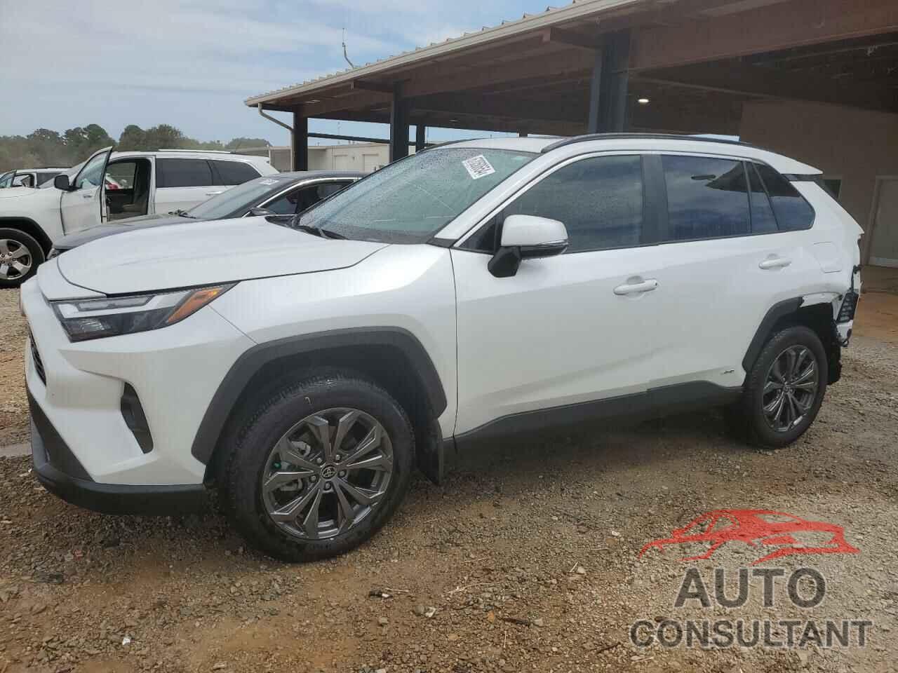 TOYOTA RAV4 2024 - 2T3B6RFVXRW050900