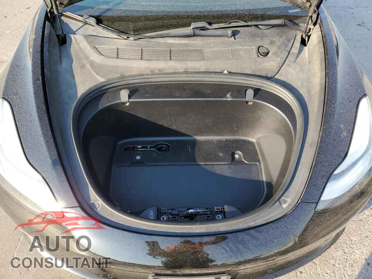 TESLA MODEL 3 2019 - 5YJ3E1EBXKF517745