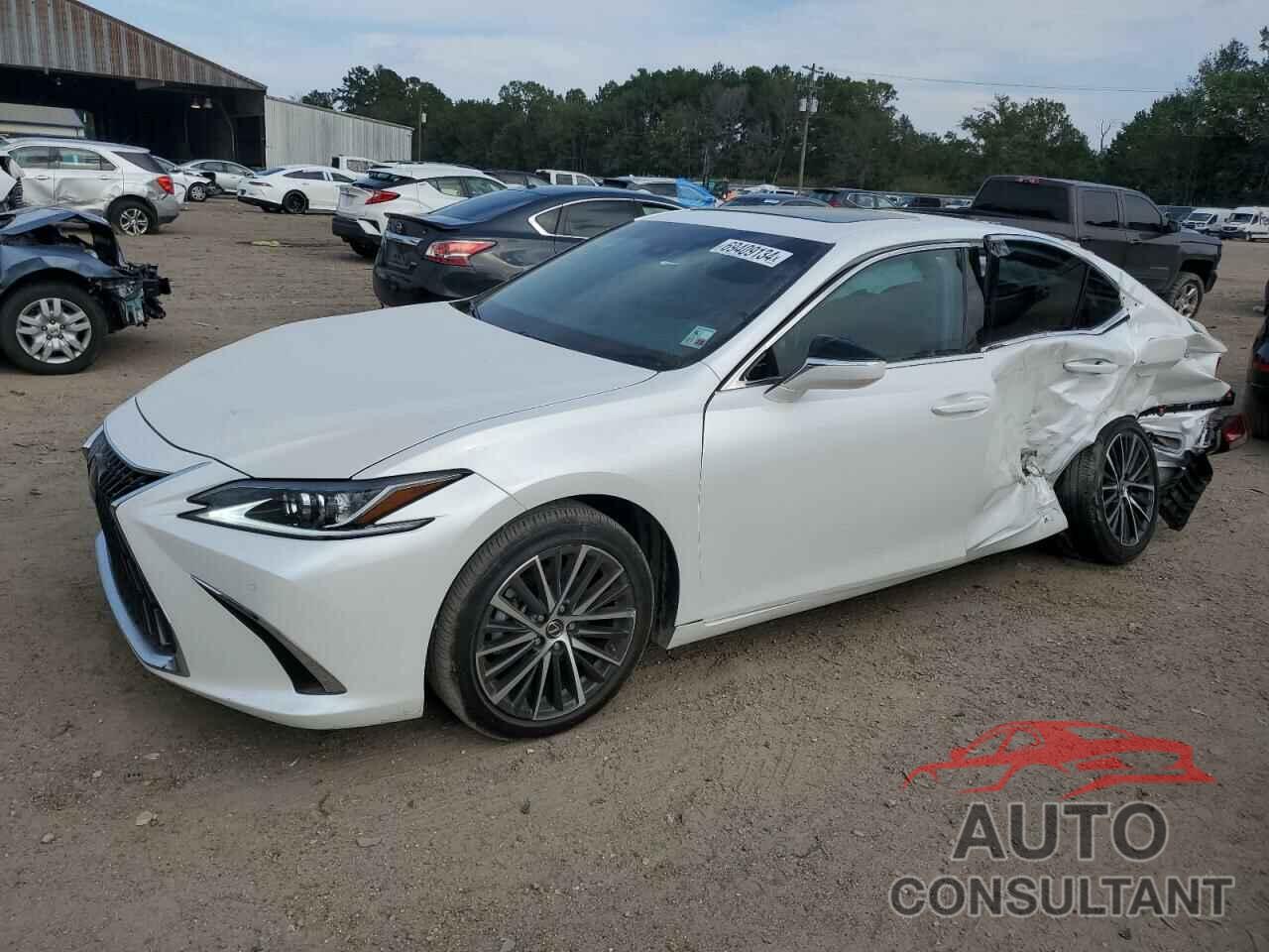 LEXUS ES350 2024 - 58ADZ1B18RU172791