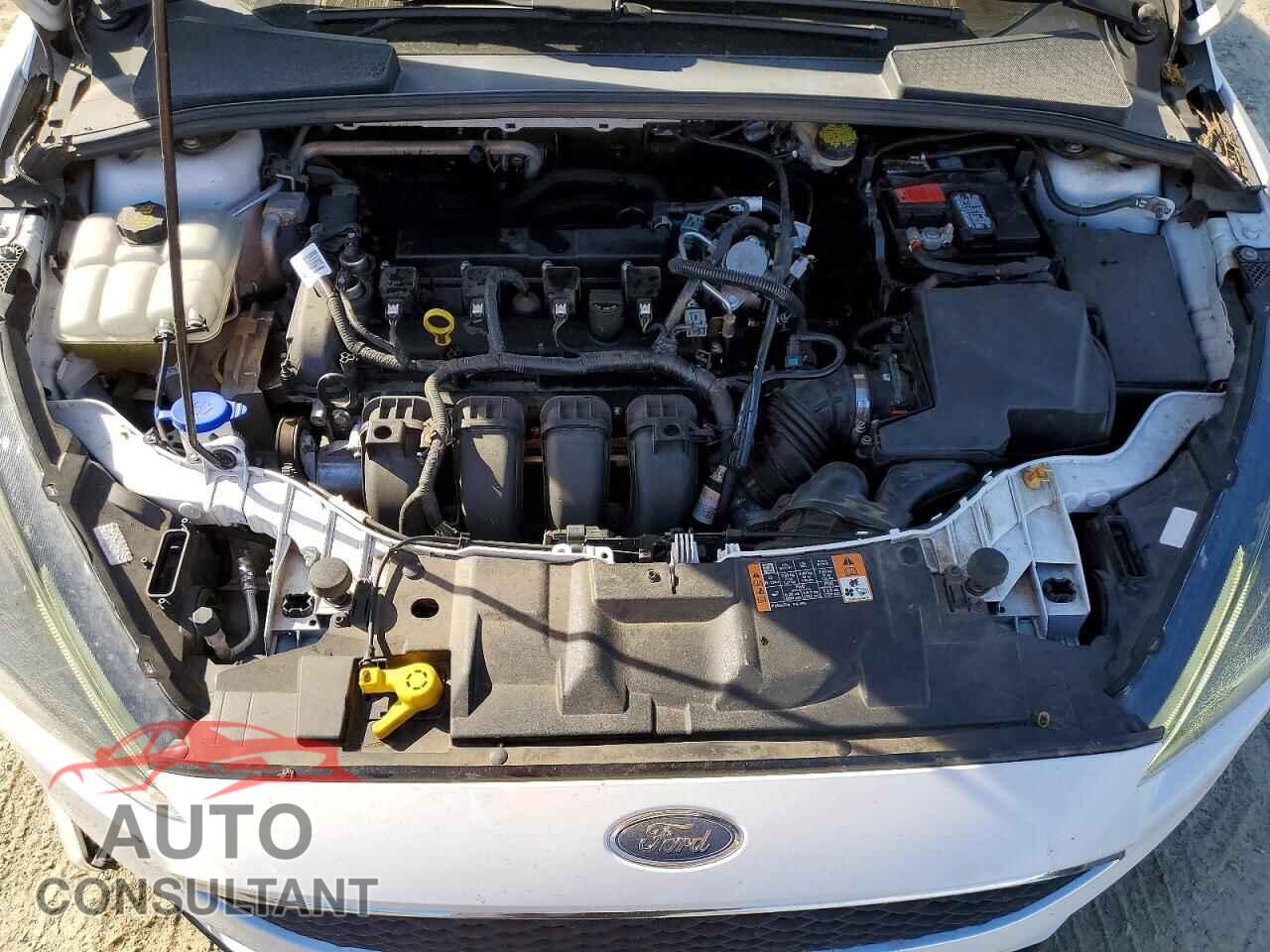 FORD FOCUS 2016 - 1FADP3F23GL399461