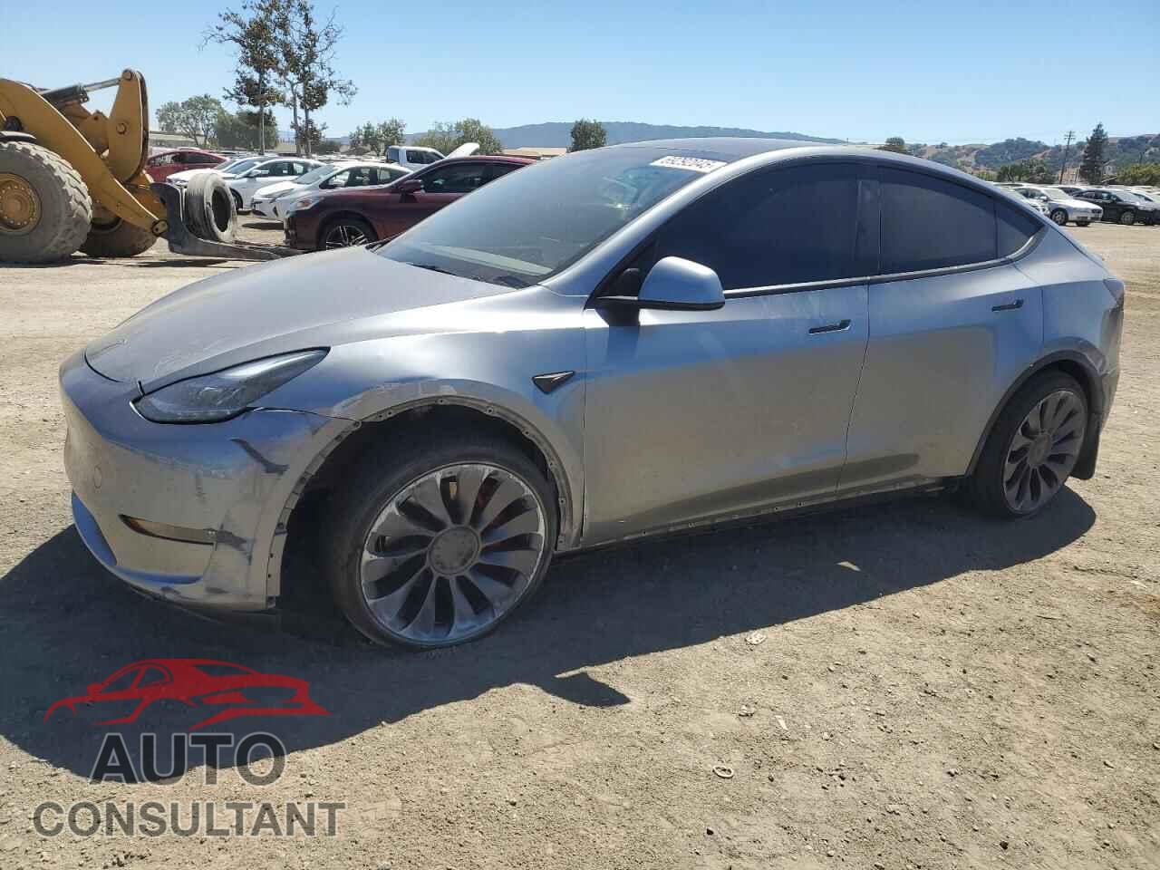 TESLA MODEL Y 2024 - 7SAYGDEF5RF128156