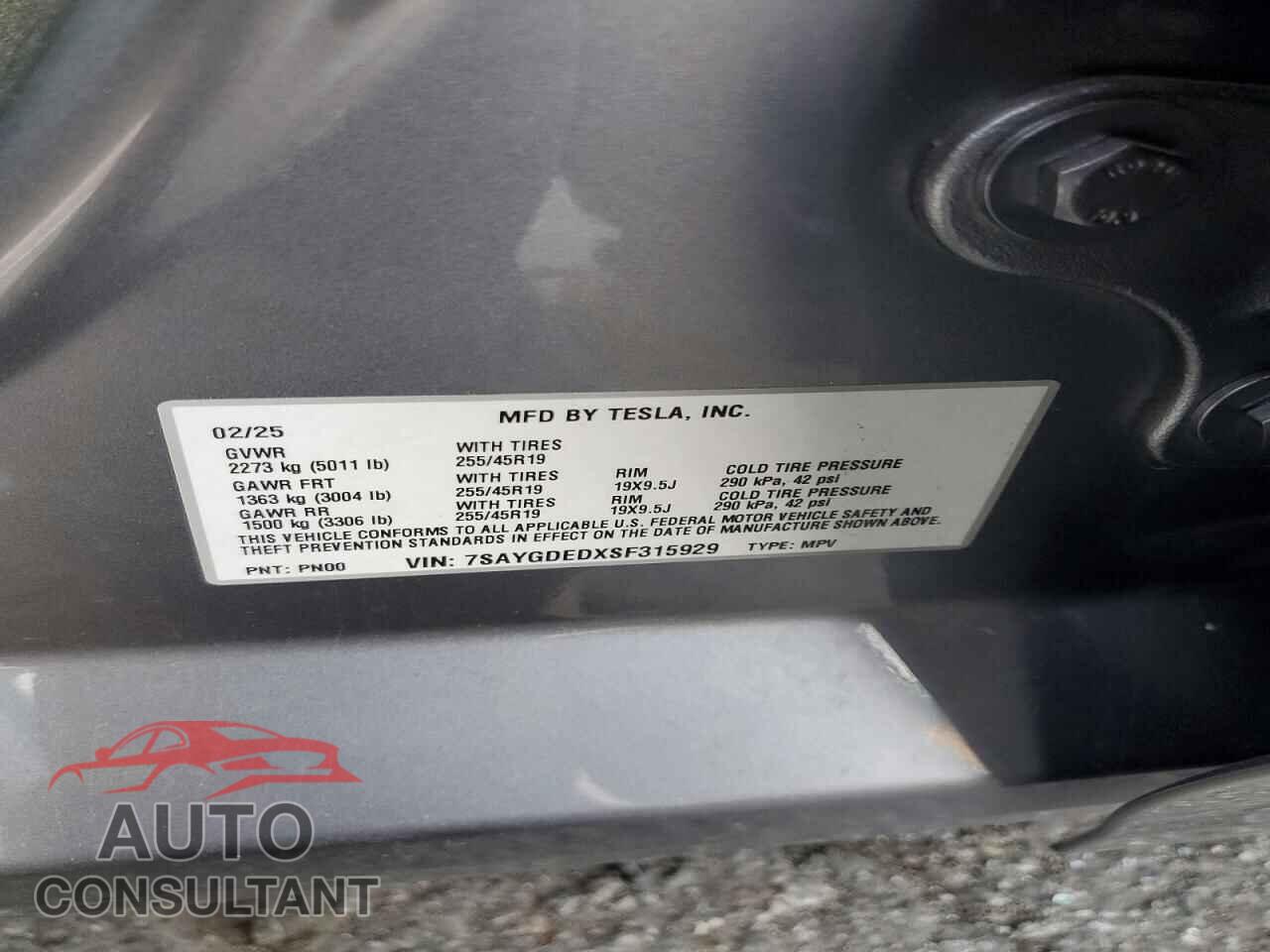 TESLA MODEL Y 2025 - 7SAYGDEDXSF315929