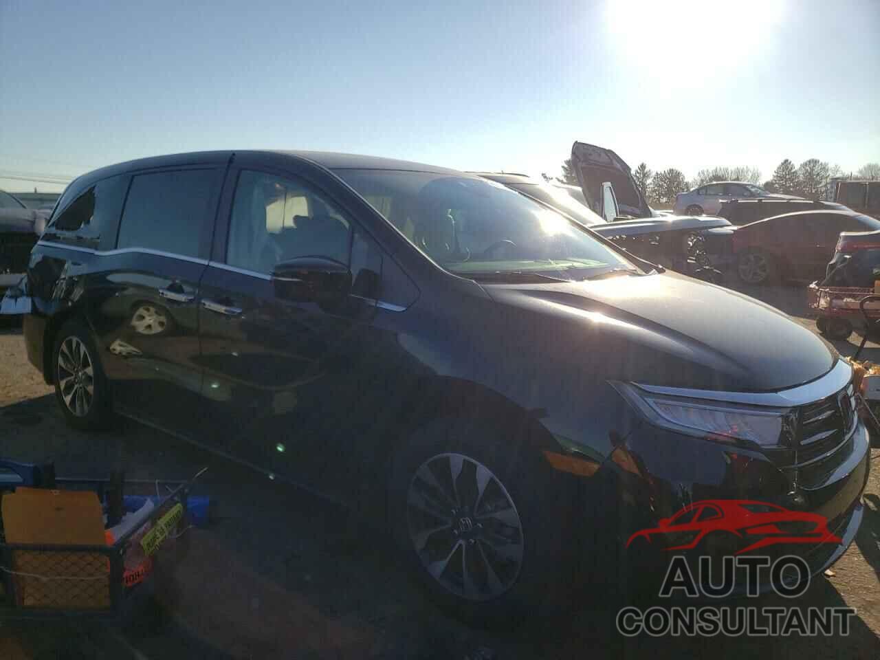 HONDA ODYSSEY 2022 - 5FNRL6H71NB044889