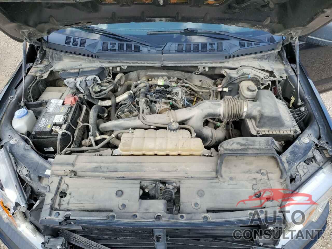 FORD F-150 2019 - 1FTEW1EP3KKE83359