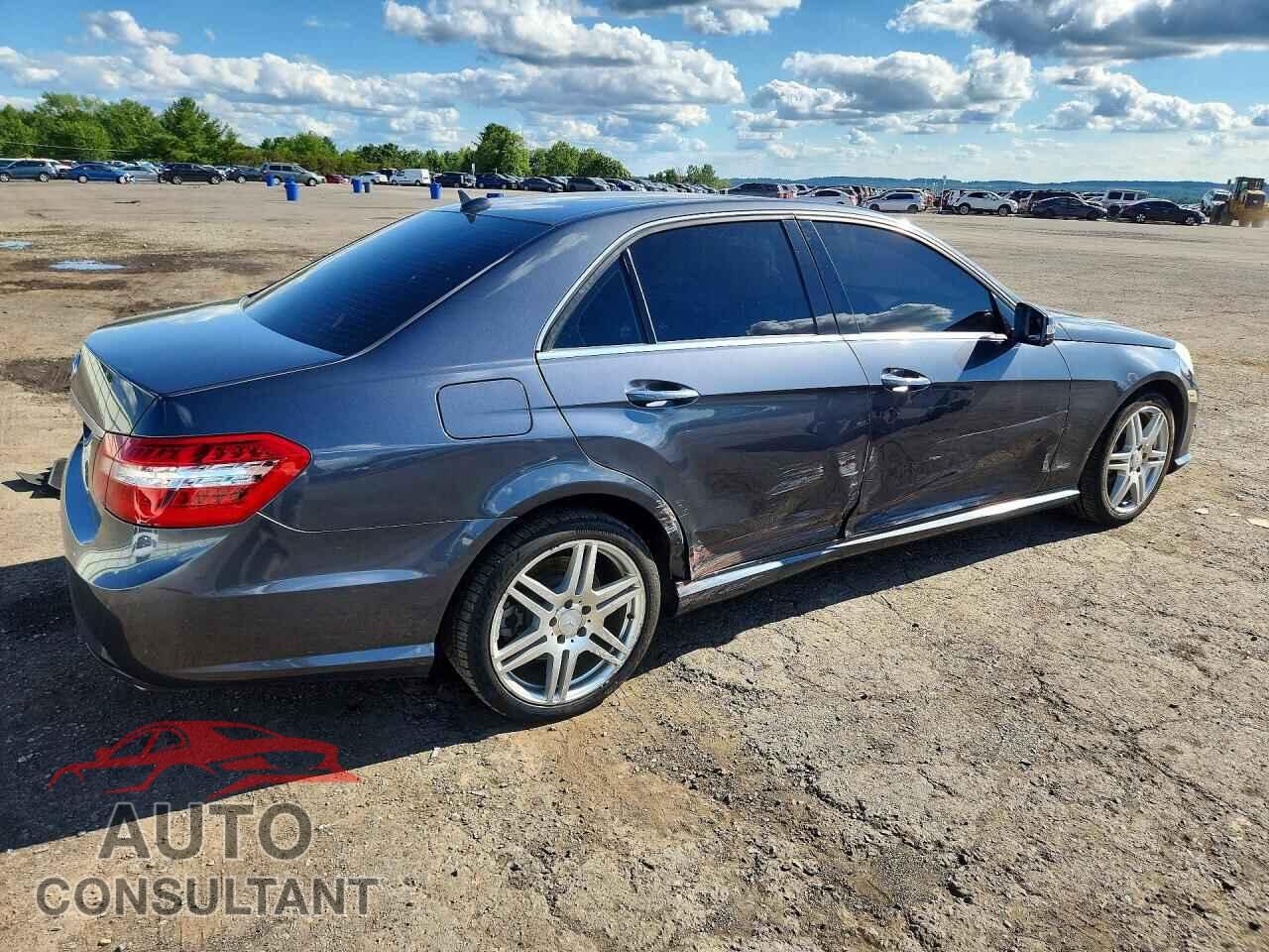 MERCEDES-BENZ E-CLASS 2010 - WDDHF7CB9AA072887
