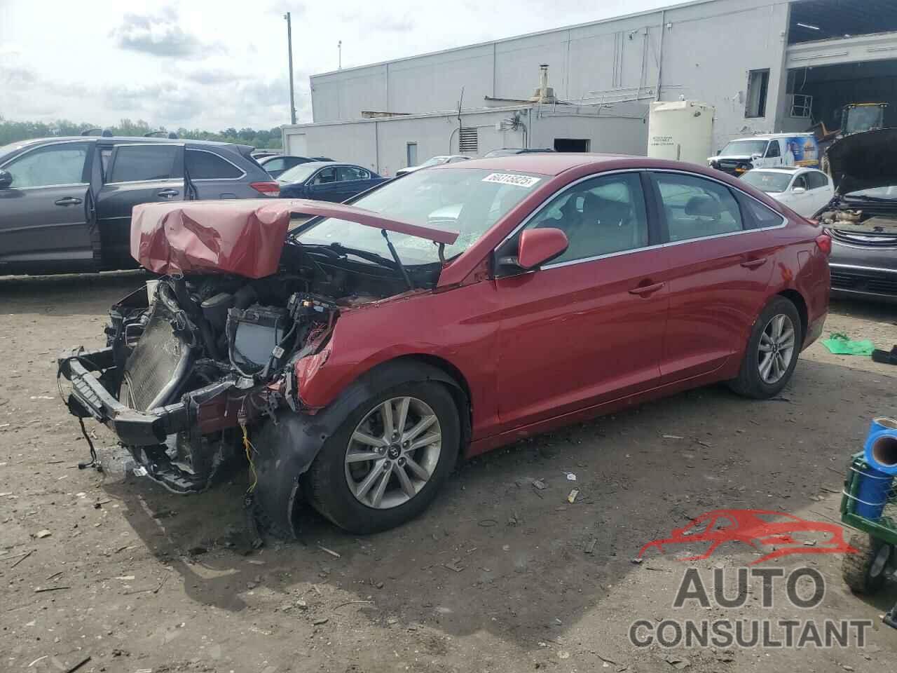 HYUNDAI SONATA 2016 - 5NPE24AF7GH355481