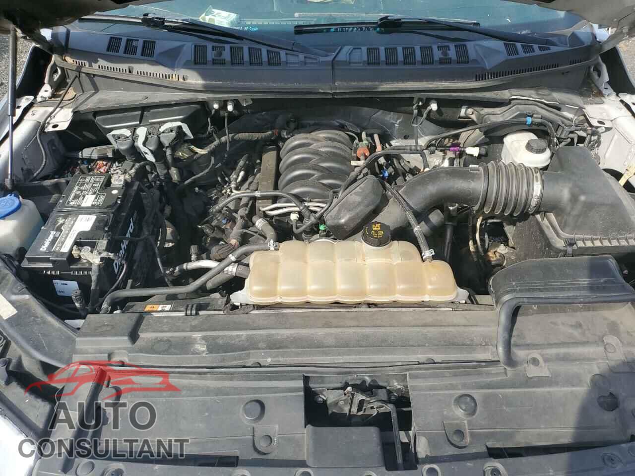 FORD F-150 2019 - 1FTEW1E50KFB60006