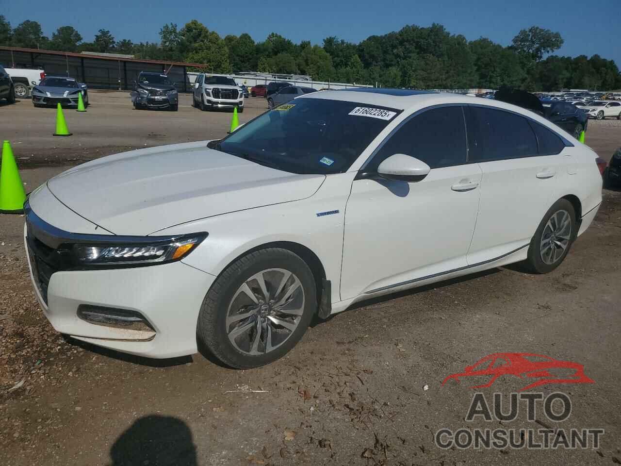 HONDA ACCORD 2019 - 1HGCV3F4XKA010219