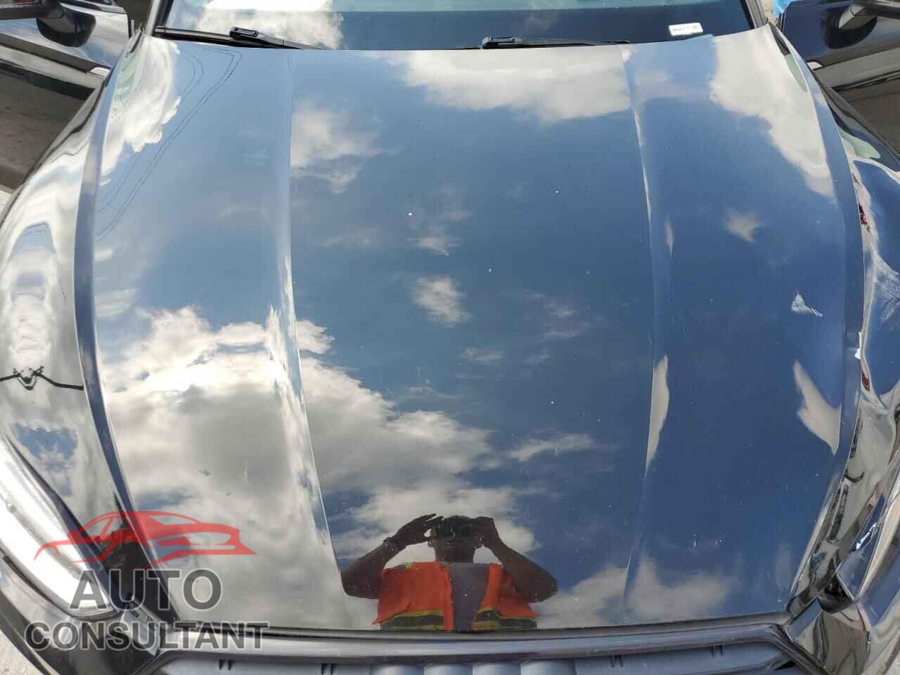 AUDI S5/RS5 2019 - WAUC4CF59KA004306