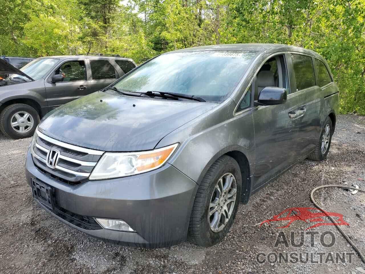 HONDA All Models 2013 - 5FNRL5H45DB506336