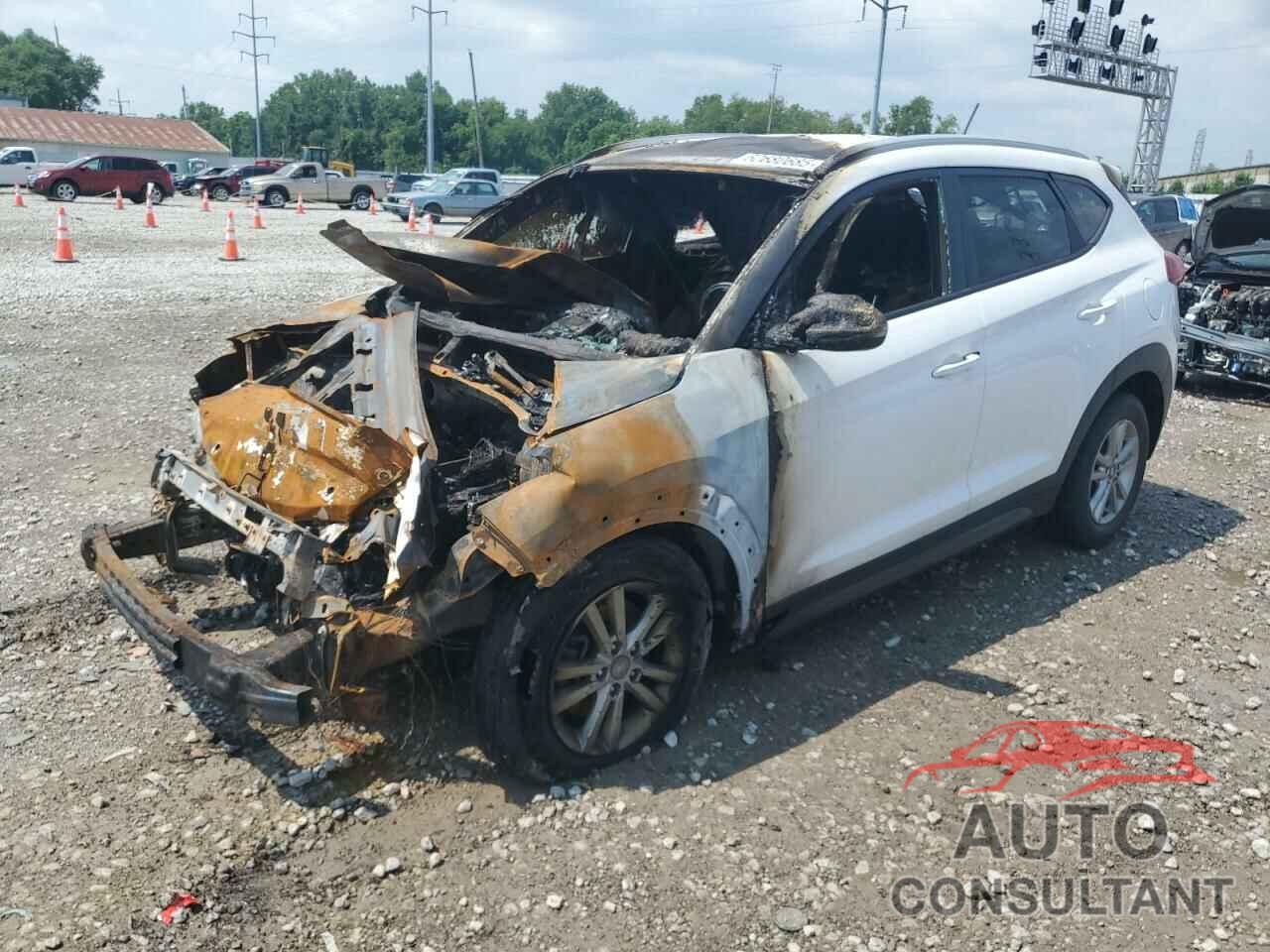 HYUNDAI TUCSON 2016 - KM8J33A22GU026787