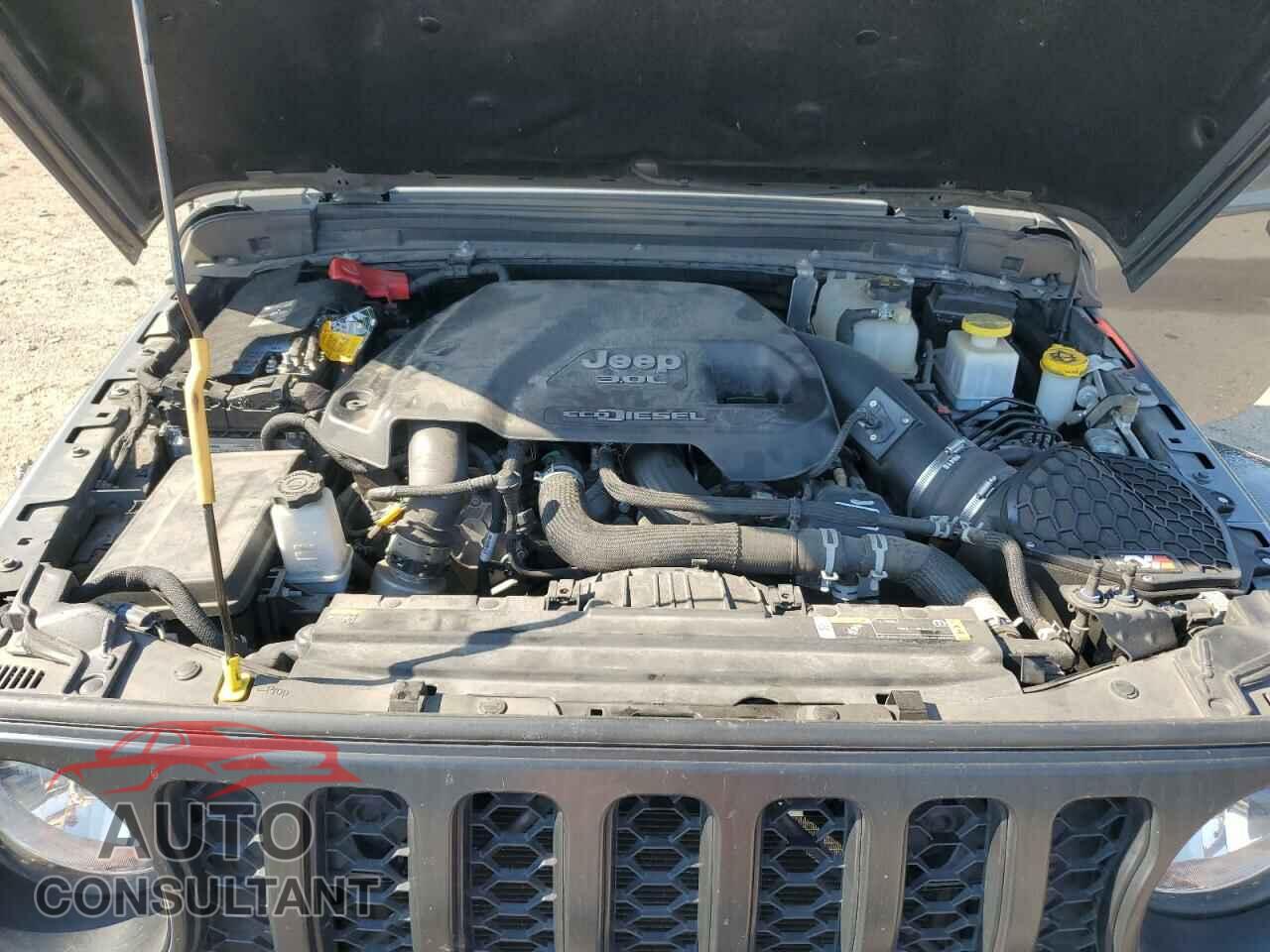 JEEP GLADIATOR 2022 - 1C6JJTAM2NL166375
