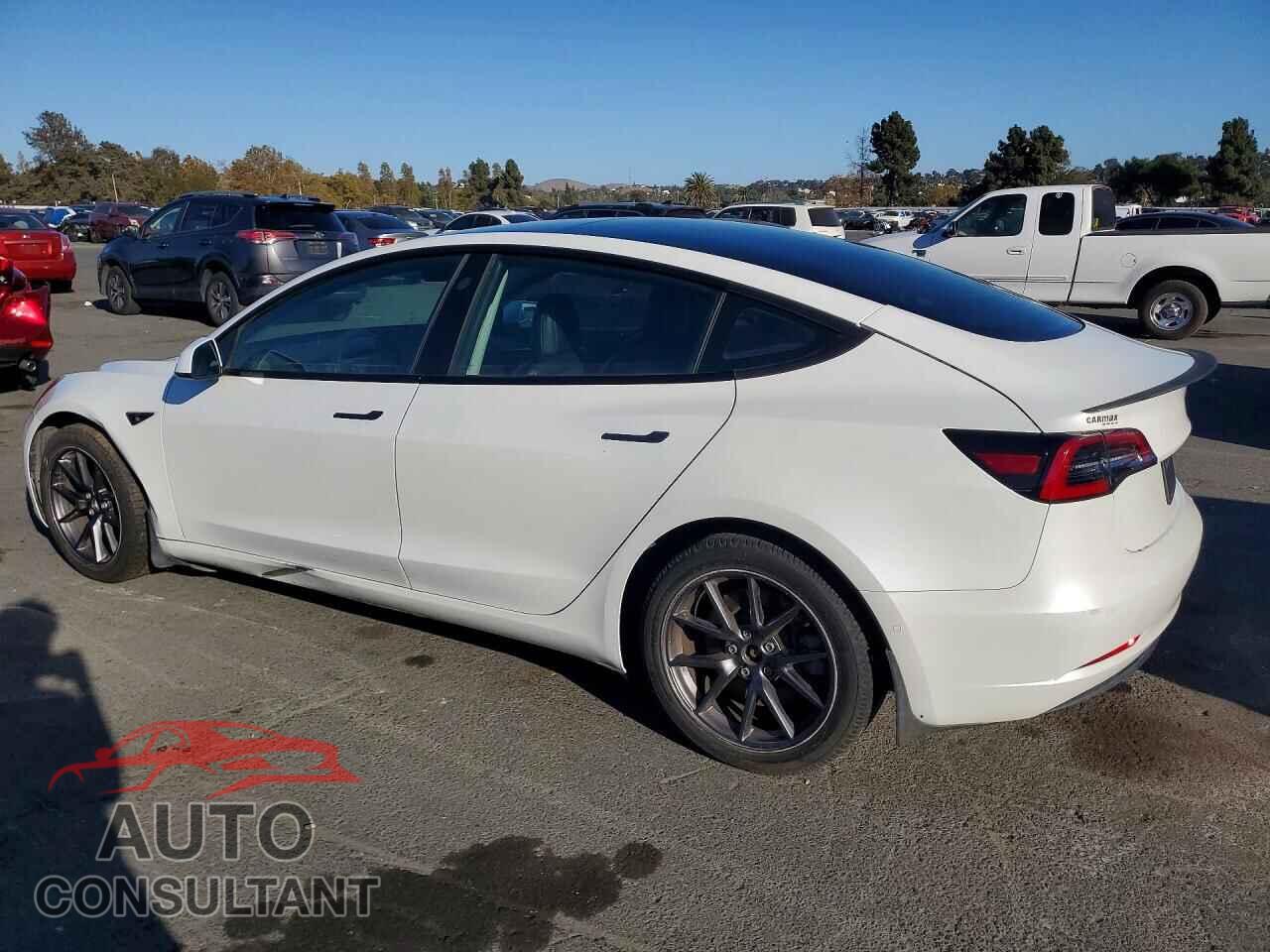 TESLA MODEL 3 2021 - 5YJ3E1EA2MF051643