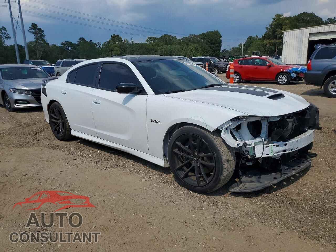 DODGE CHARGER 2023 - 2C3CDXGJ1PH646103