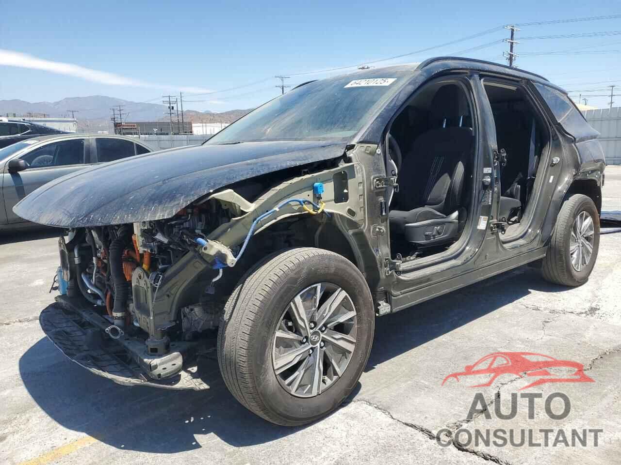 HYUNDAI TUCSON 2024 - KM8JBCD16RU204953