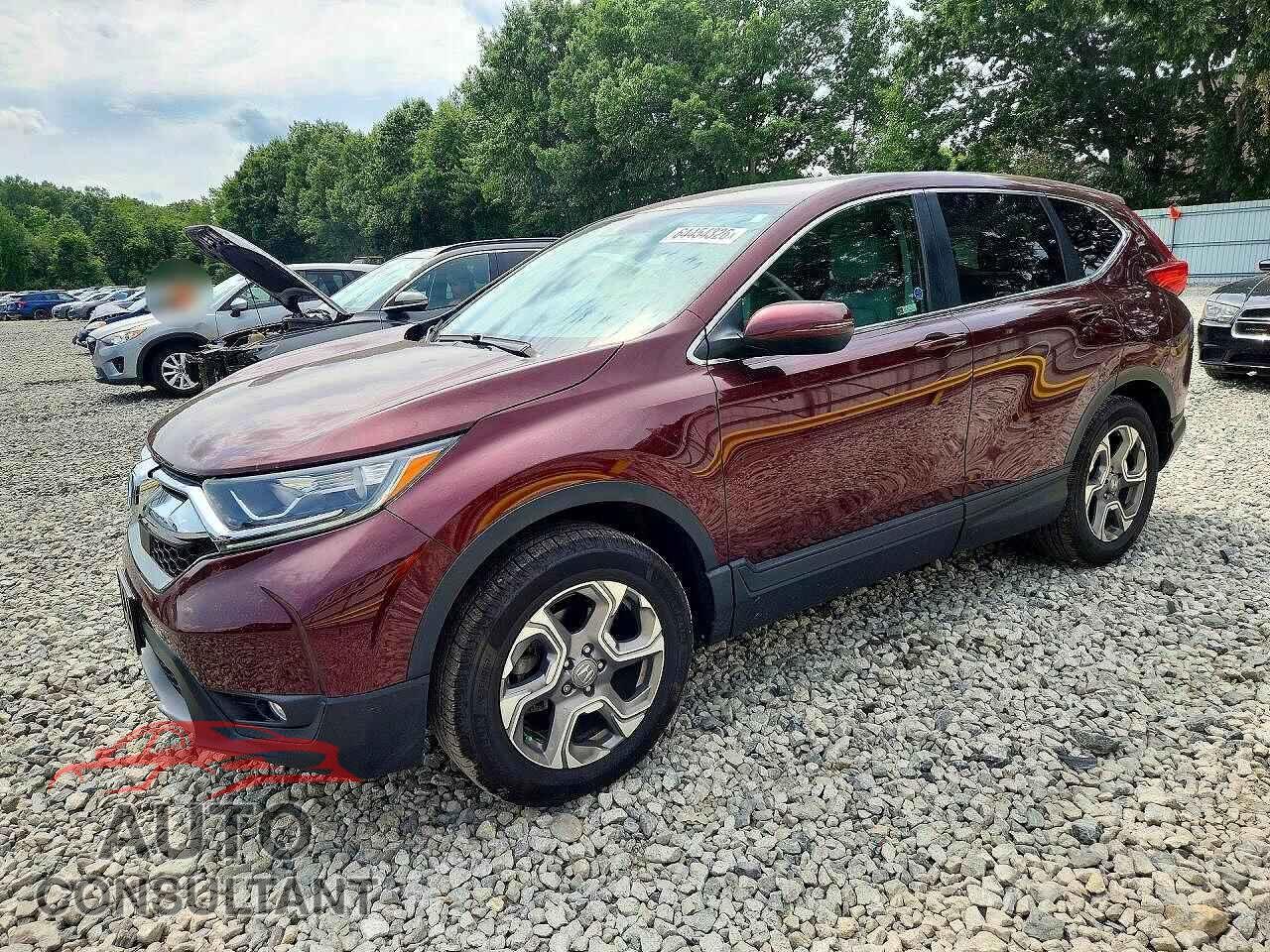 HONDA CRV 2019 - 2HKRW2H80KH637827