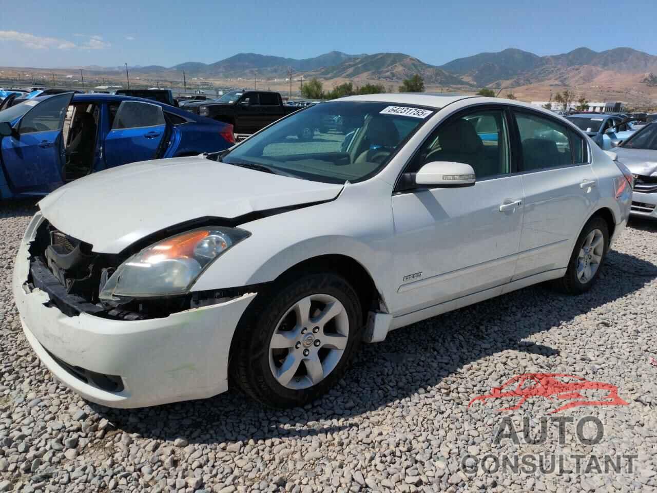 NISSAN ALTIMA 2009 - 1N4CL21E59C185013