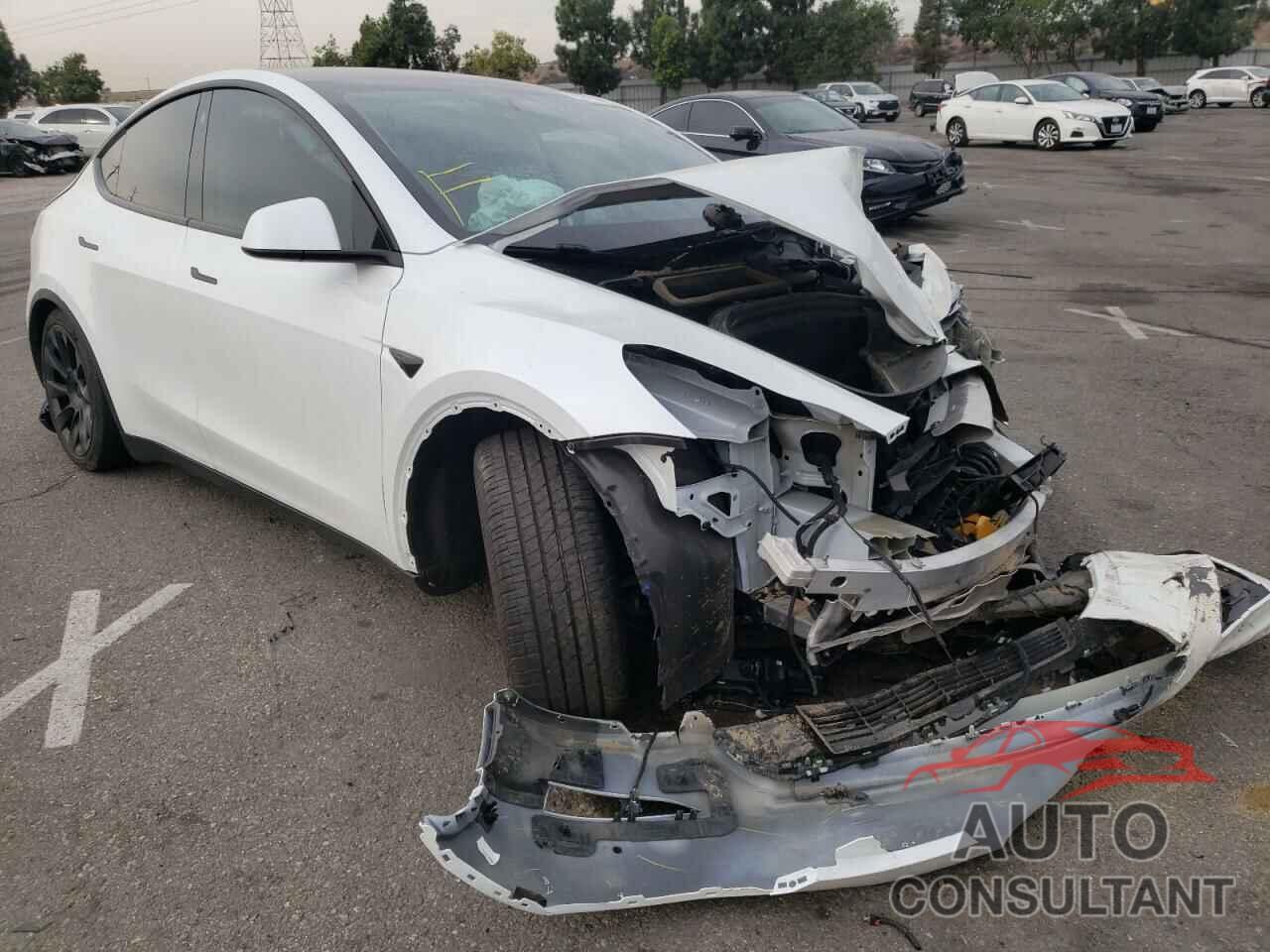 TESLA MODEL Y 2021 - 5YJYGDEE4MF084843