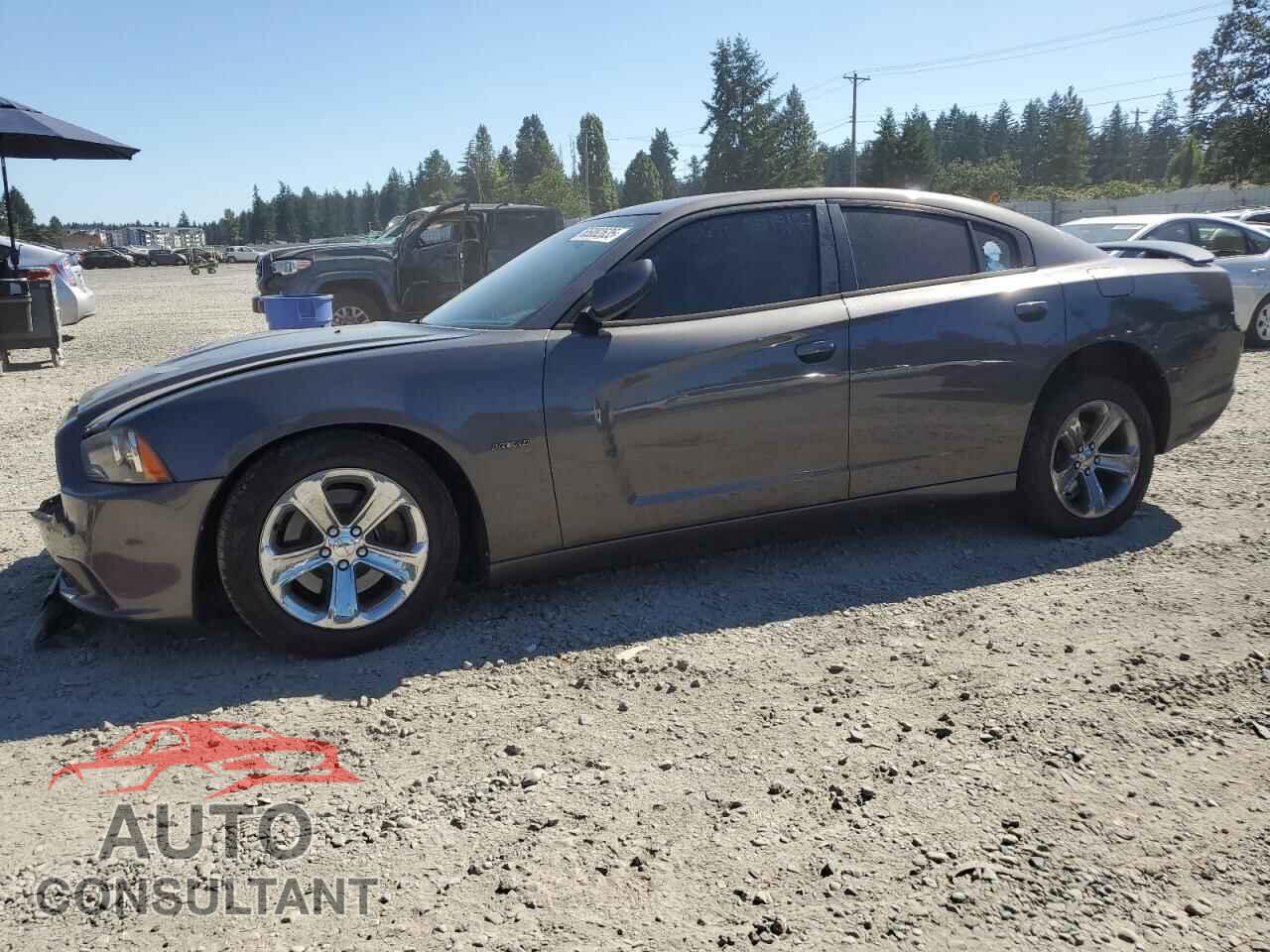 DODGE CHARGER 2013 - 2C3CDXCT9DH730365