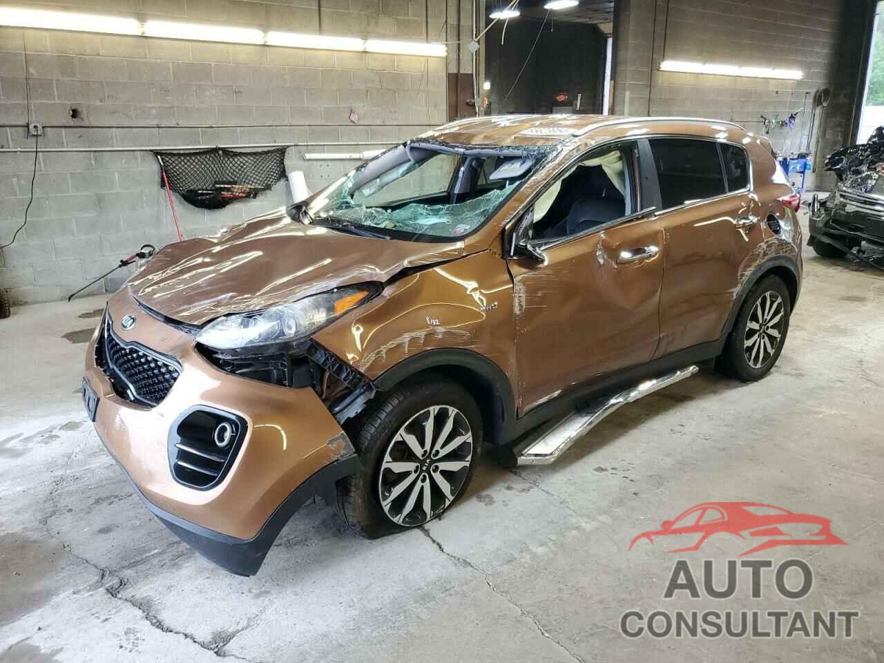 KIA SPORTAGE 2019 - KNDPNCAC2K7572675