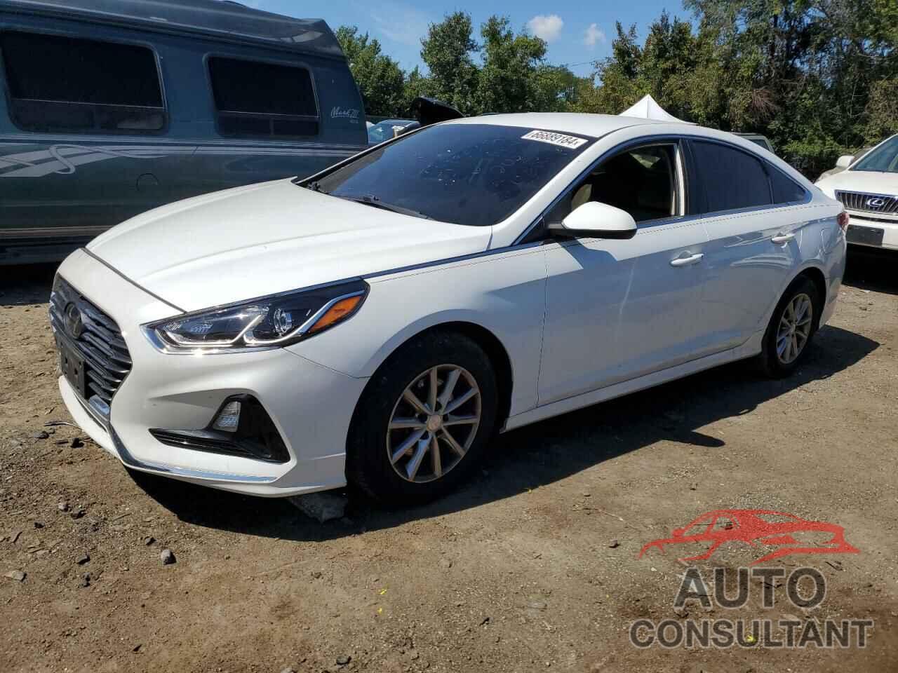 HYUNDAI SONATA 2019 - 5NPE24AF9KH777261