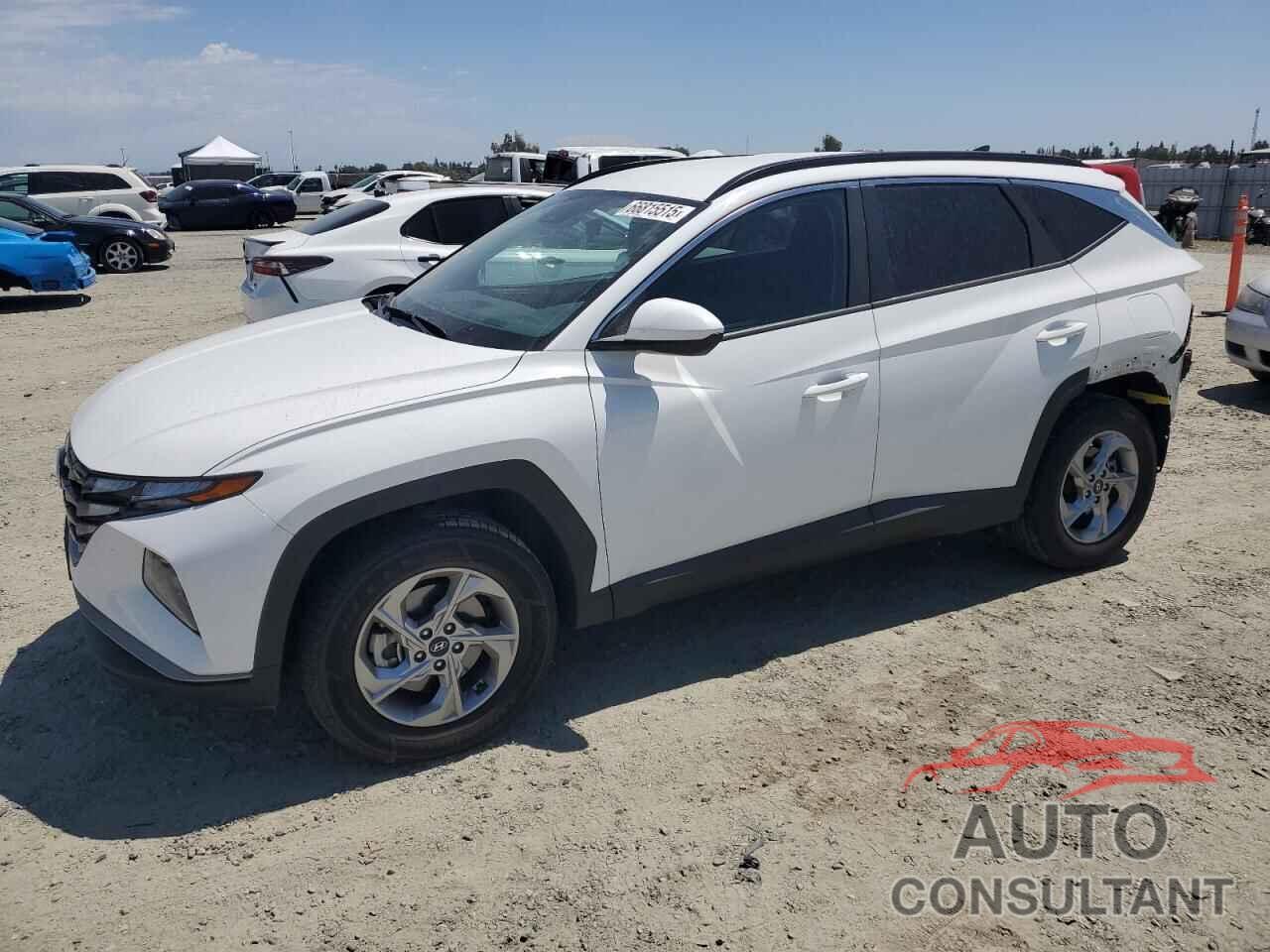 HYUNDAI TUCSON 2024 - 5NMJBCDEXRH382427