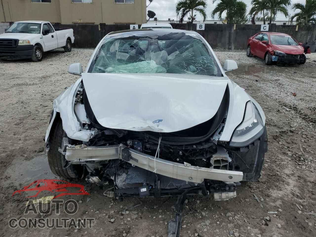TESLA MODEL 3 2019 - 5YJ3E1EB6KF361574