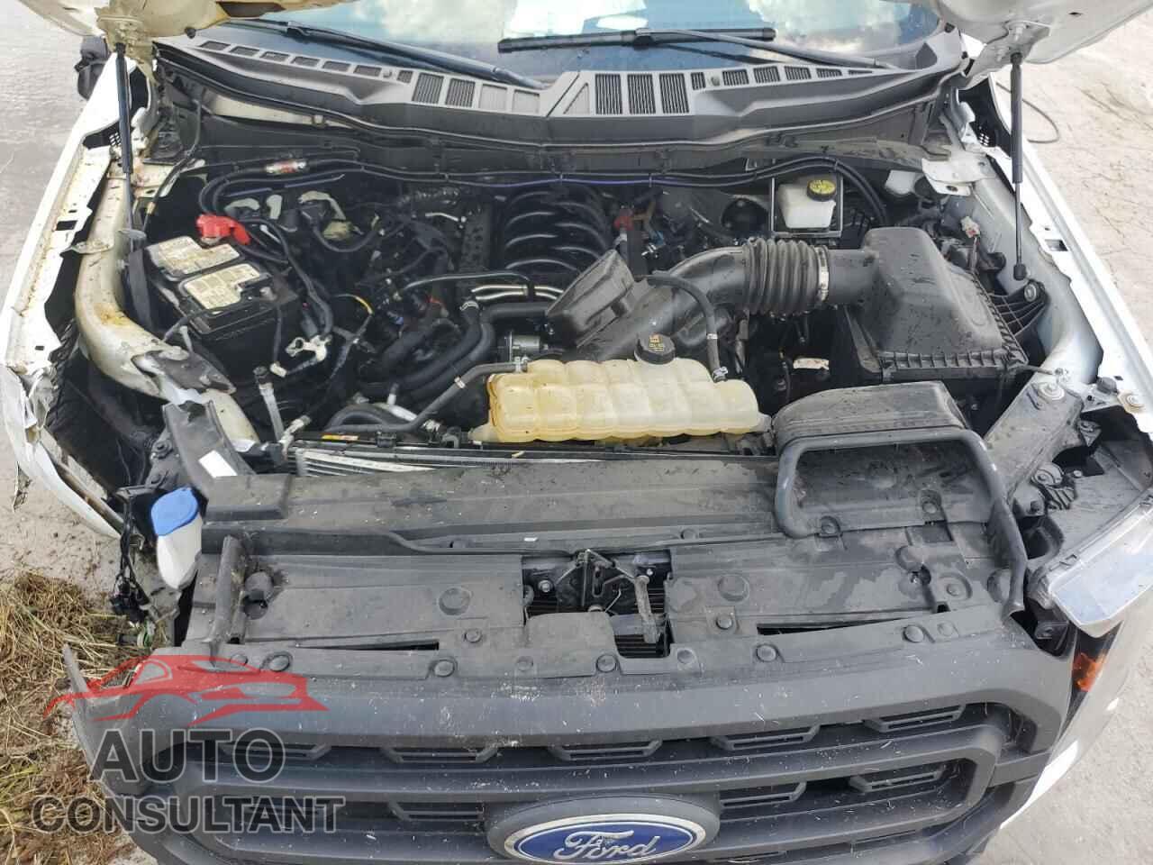 FORD F-150 2023 - 1FTEX1C56PKG02706