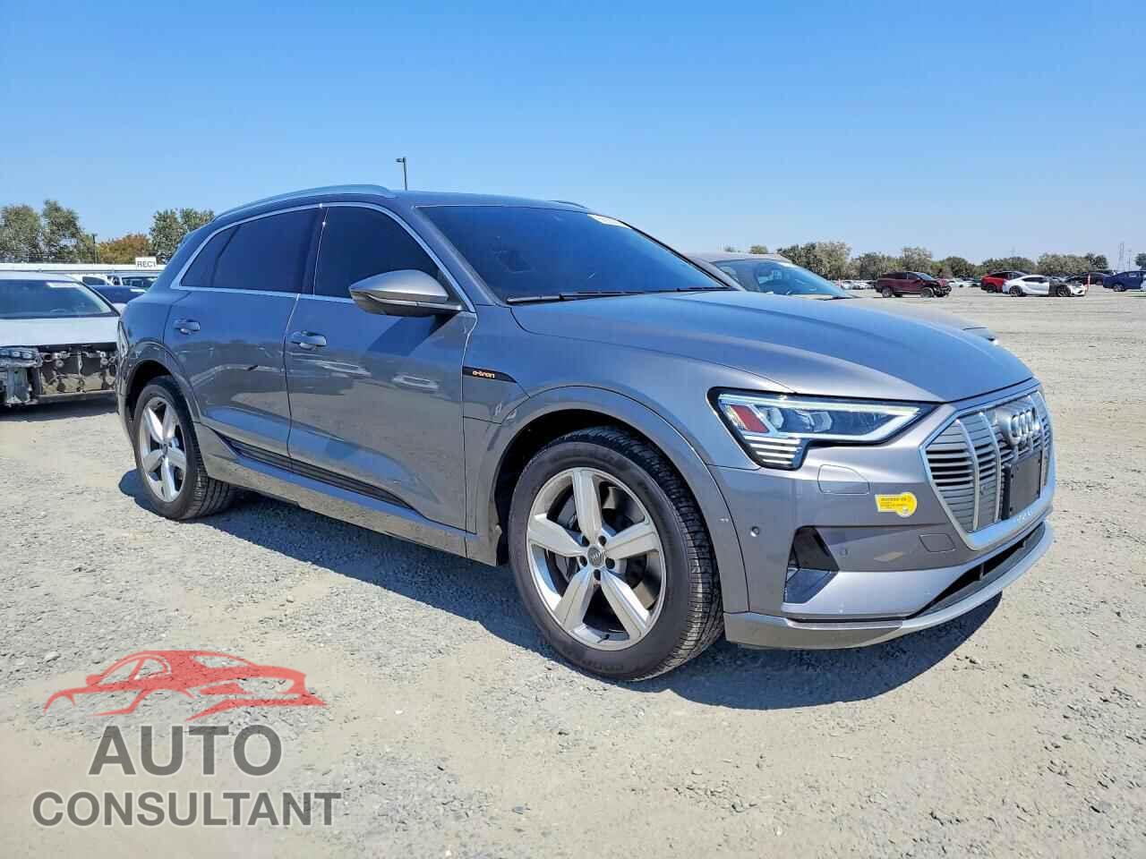 AUDI E-TRON 2019 - WA1LABGE5KB013108