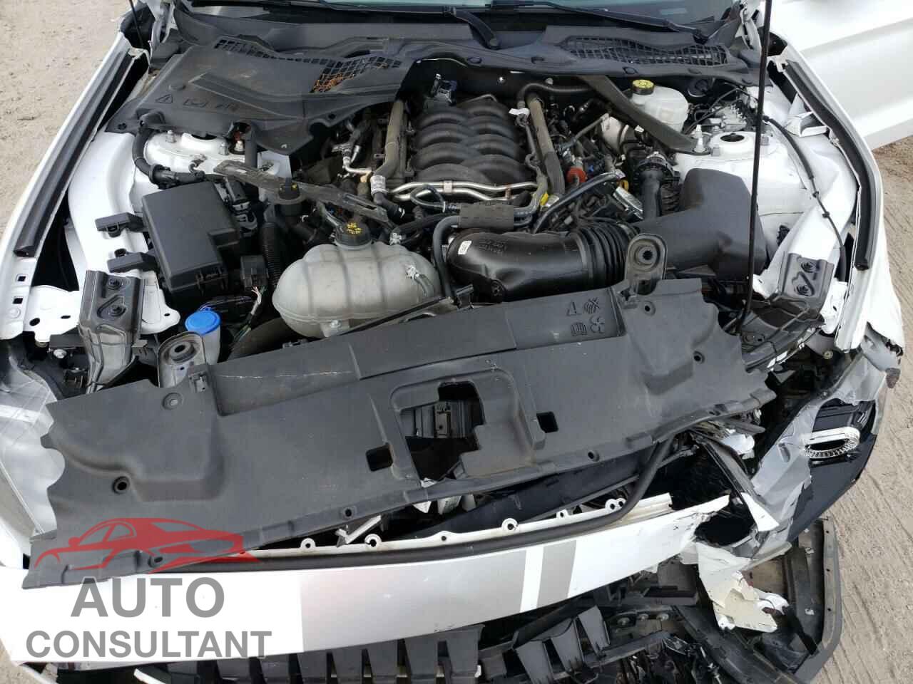 FORD MUSTANG 2021 - 1FA6P8CF8M5110023