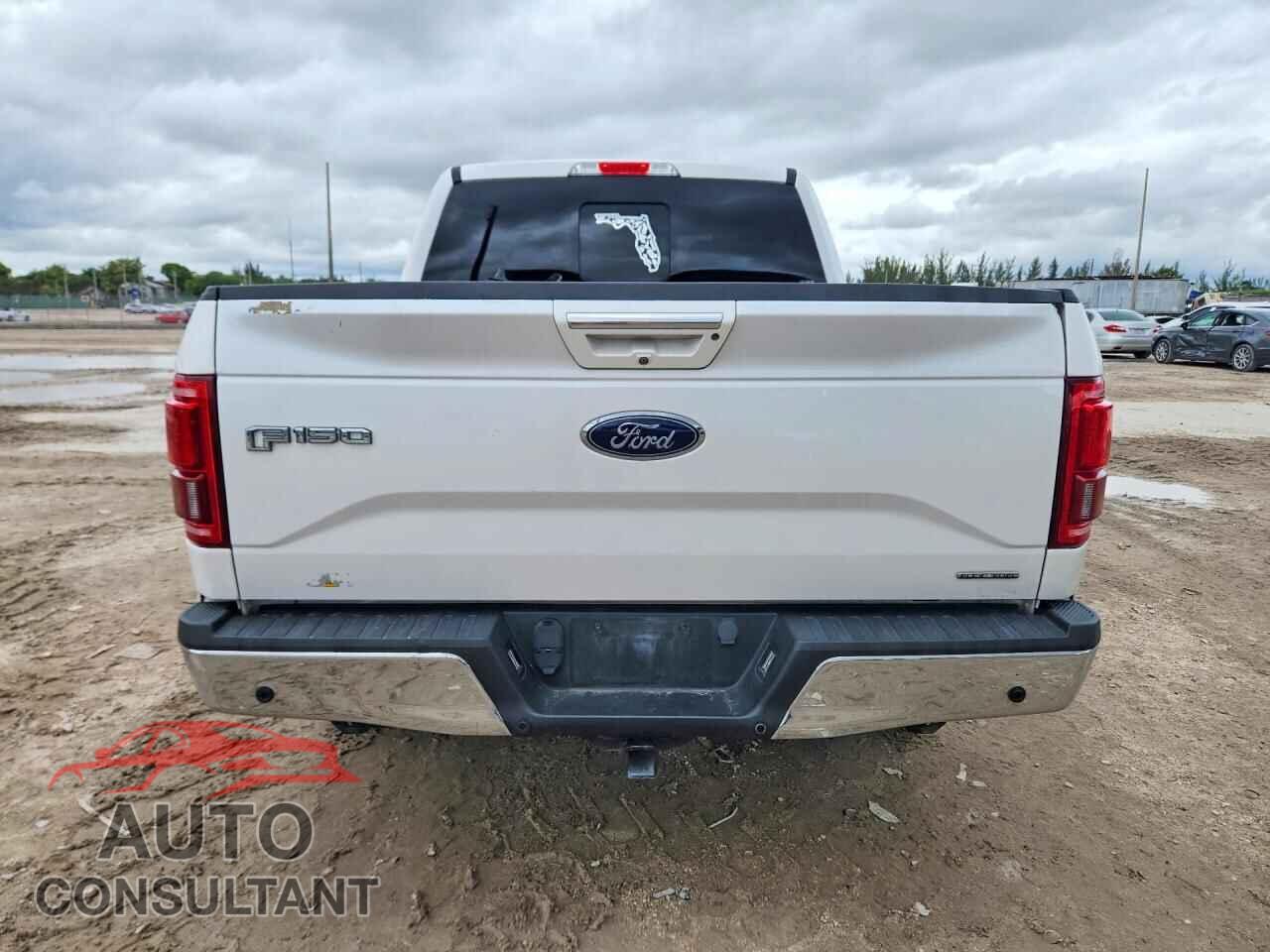 FORD F150 2015 - 1FTEW1CF3FKD12434