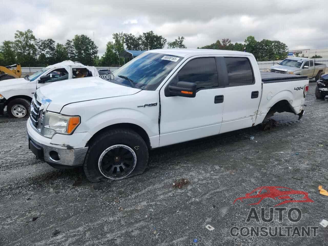 FORD F-150 2011 - 1FTFW1EF5BKD16576