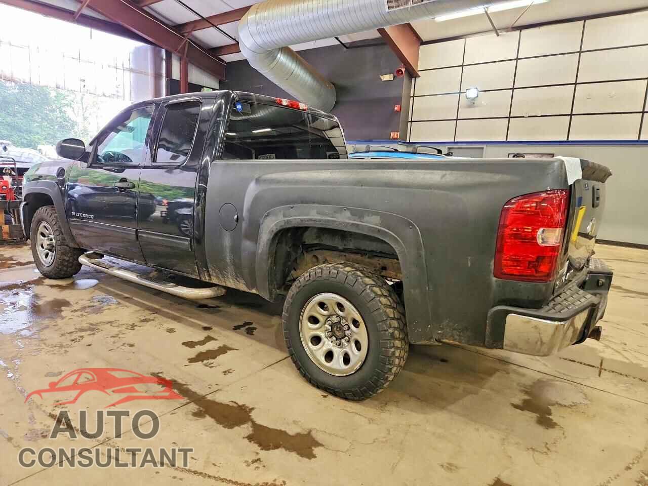 CHEVROLET SILVERADO 2011 - 1GCRCREA7BZ423029