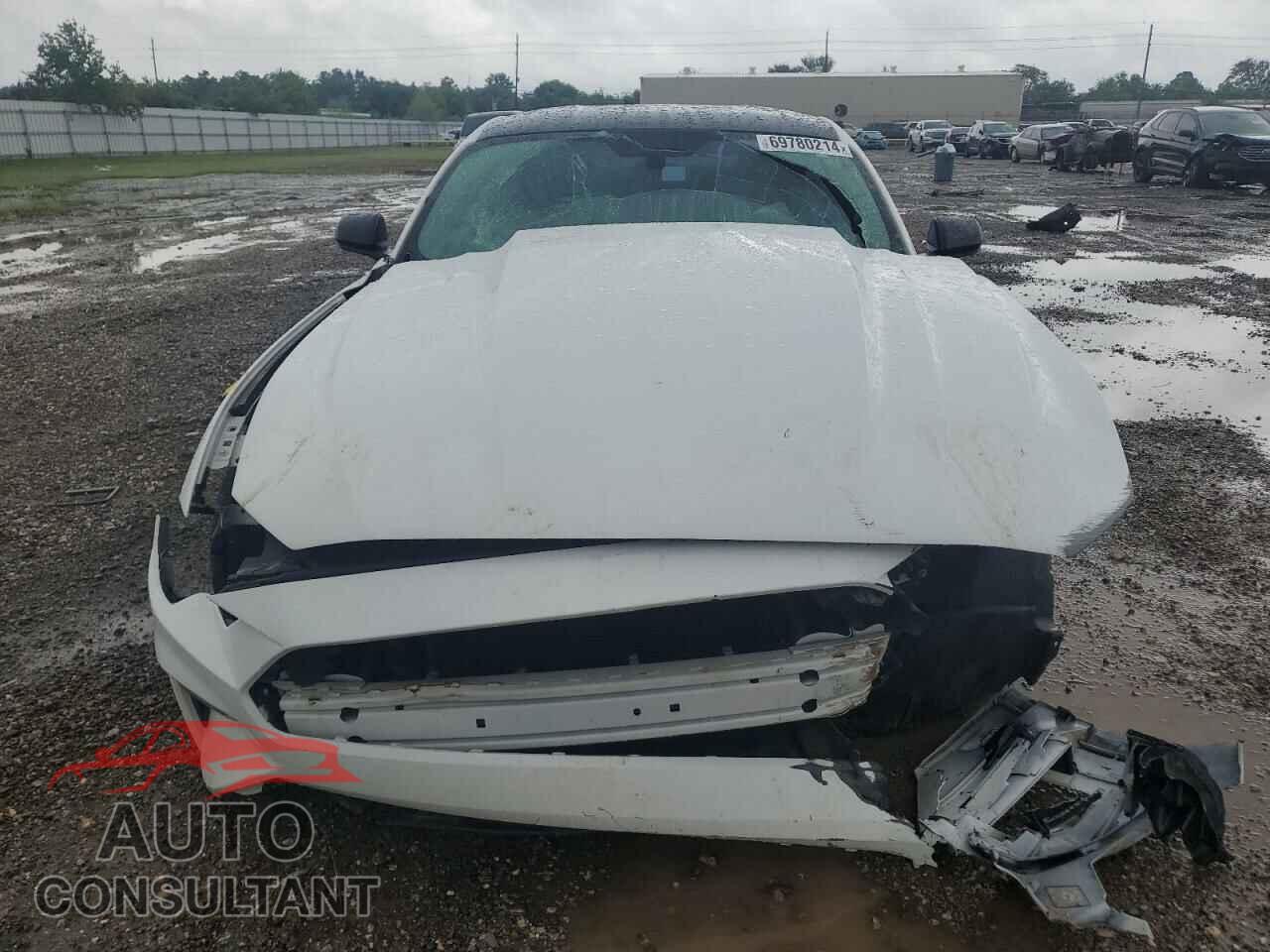 FORD MUSTANG 2019 - 1FA6P8CF4K5147745
