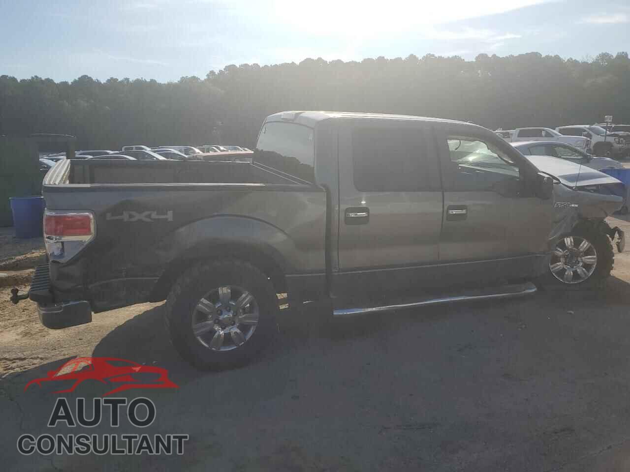 FORD F-150 2010 - 1FTFW1EV6AFC35164